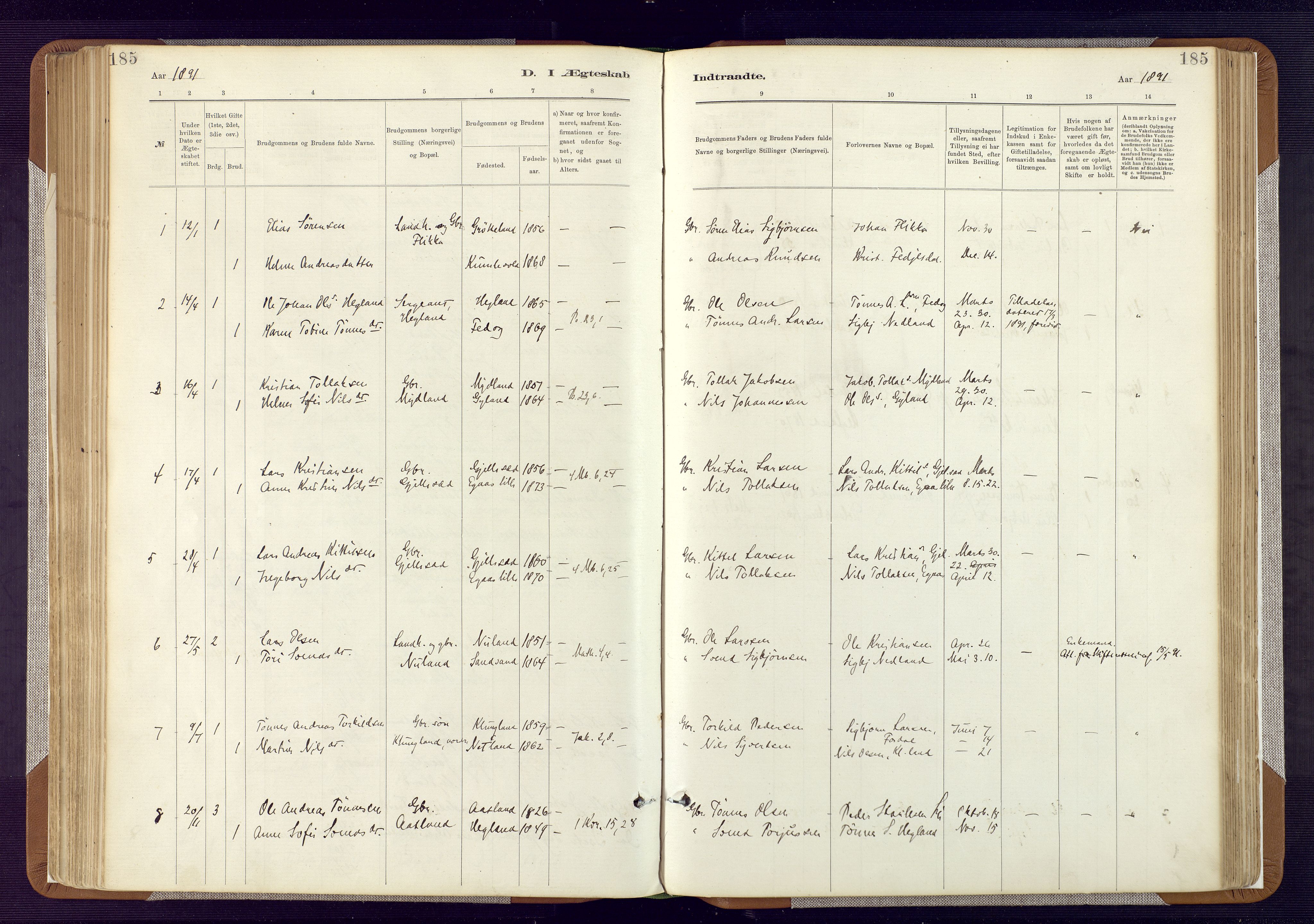 Bakke sokneprestkontor, SAK/1111-0002/F/Fa/Fab/L0003: Parish register (official) no. A 3, 1884-1921, p. 185
