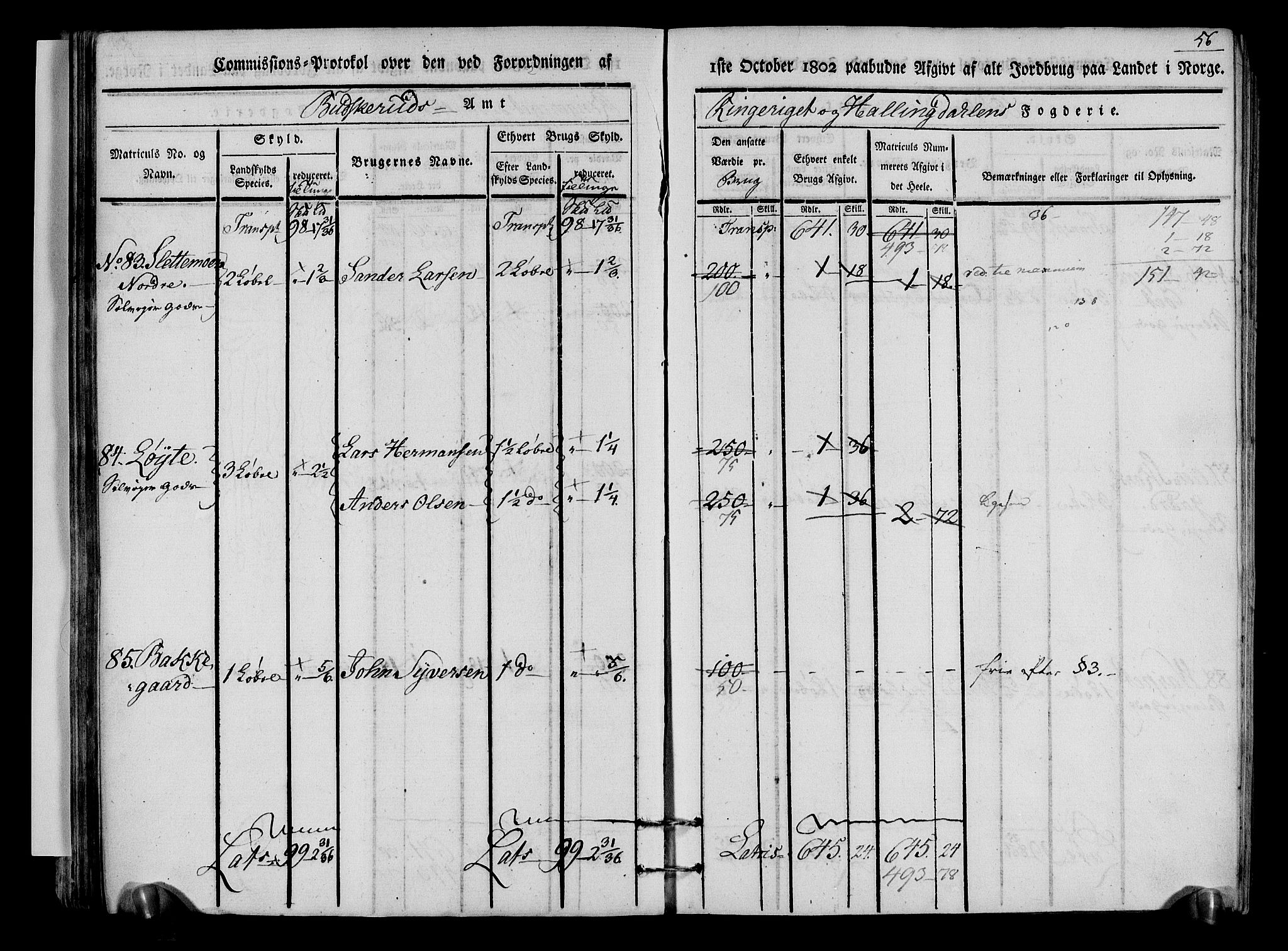 Rentekammeret inntil 1814, Realistisk ordnet avdeling, AV/RA-EA-4070/N/Ne/Nea/L0048: Ringerike og Hallingdal fogderi. Kommisjonsprotokoll for Ål prestegjeld, 1803, p. 59