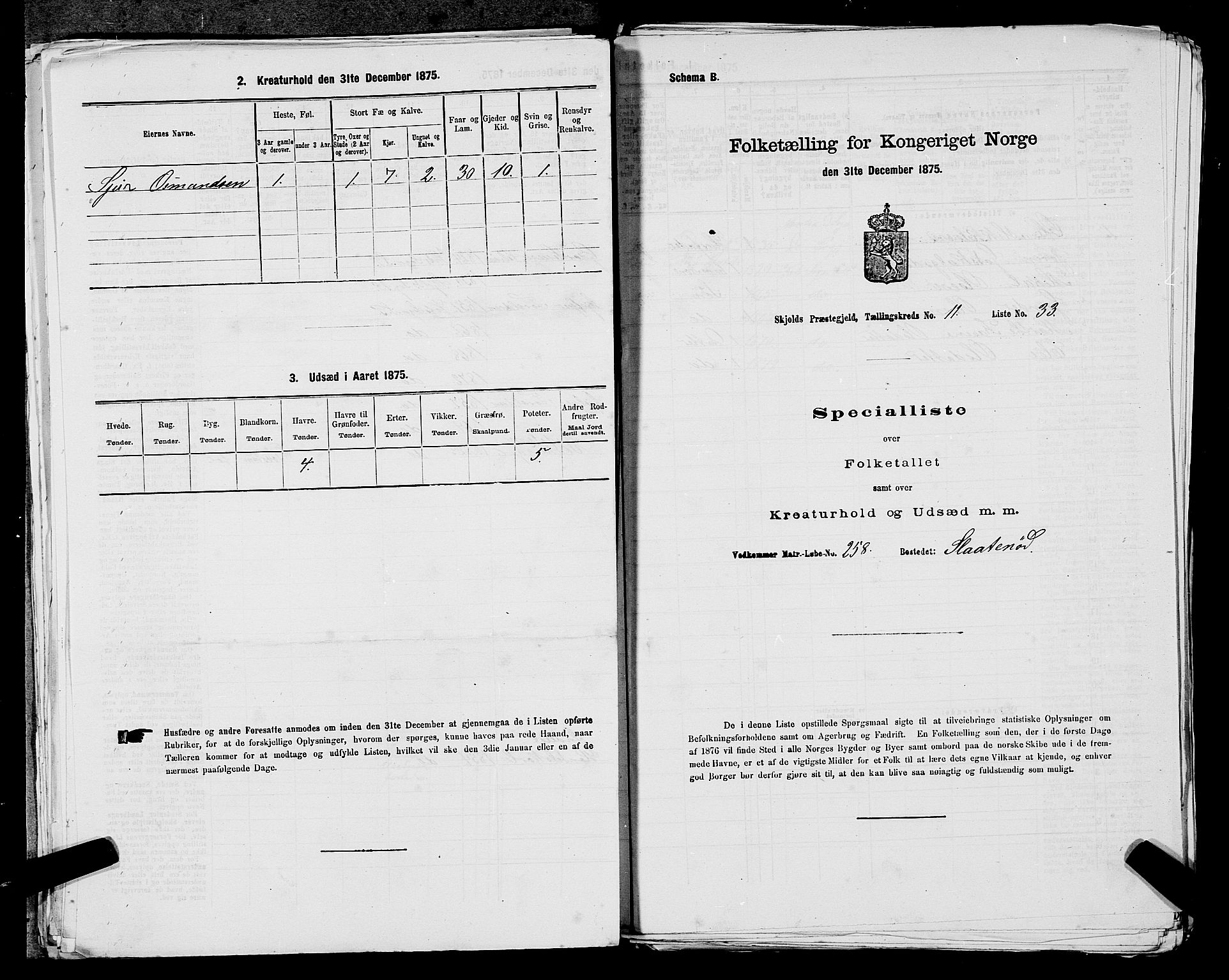 SAST, 1875 census for 1154P Skjold, 1875, p. 1171