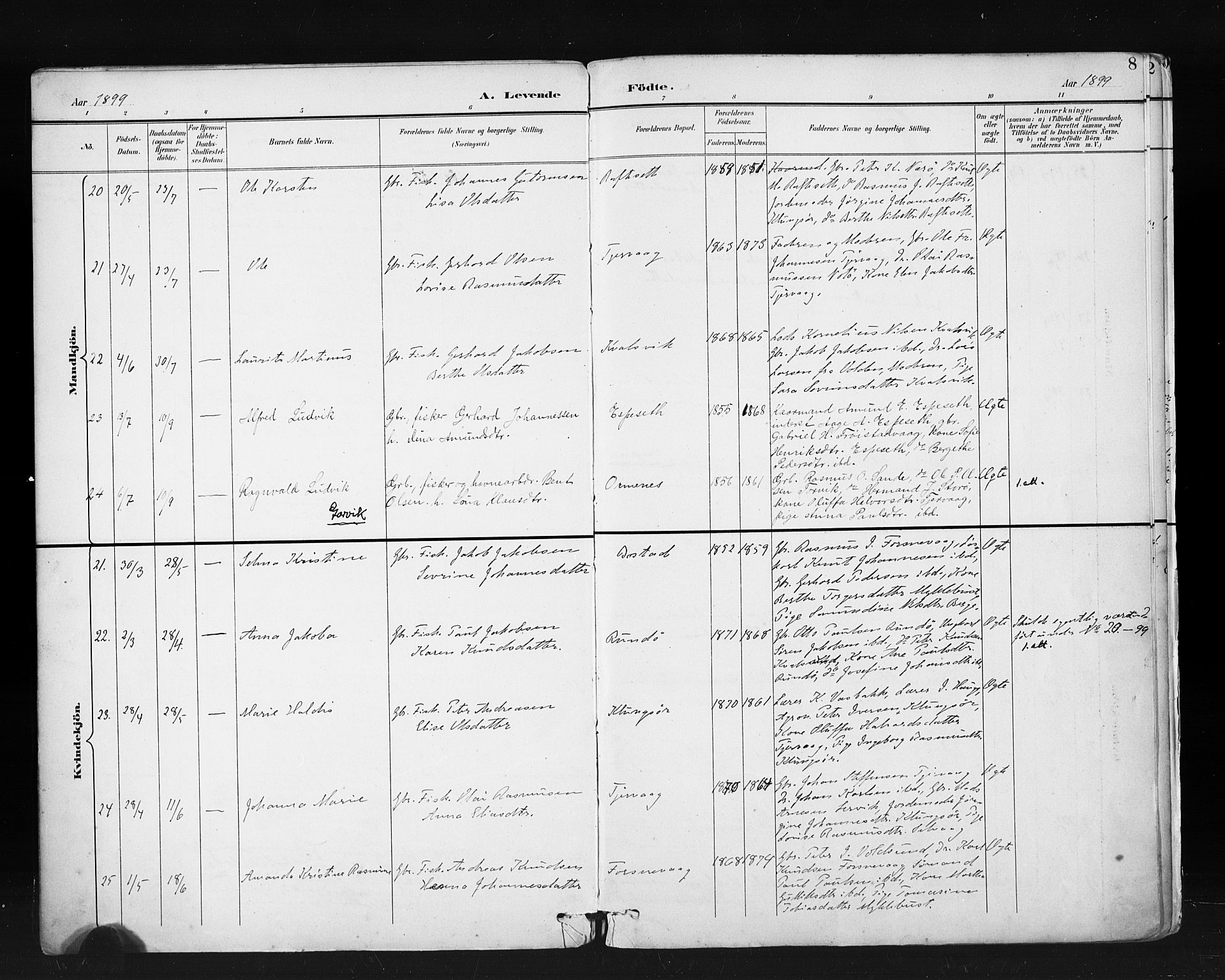 Ministerialprotokoller, klokkerbøker og fødselsregistre - Møre og Romsdal, AV/SAT-A-1454/507/L0074: Parish register (official) no. 507A09, 1894-1900, p. 8