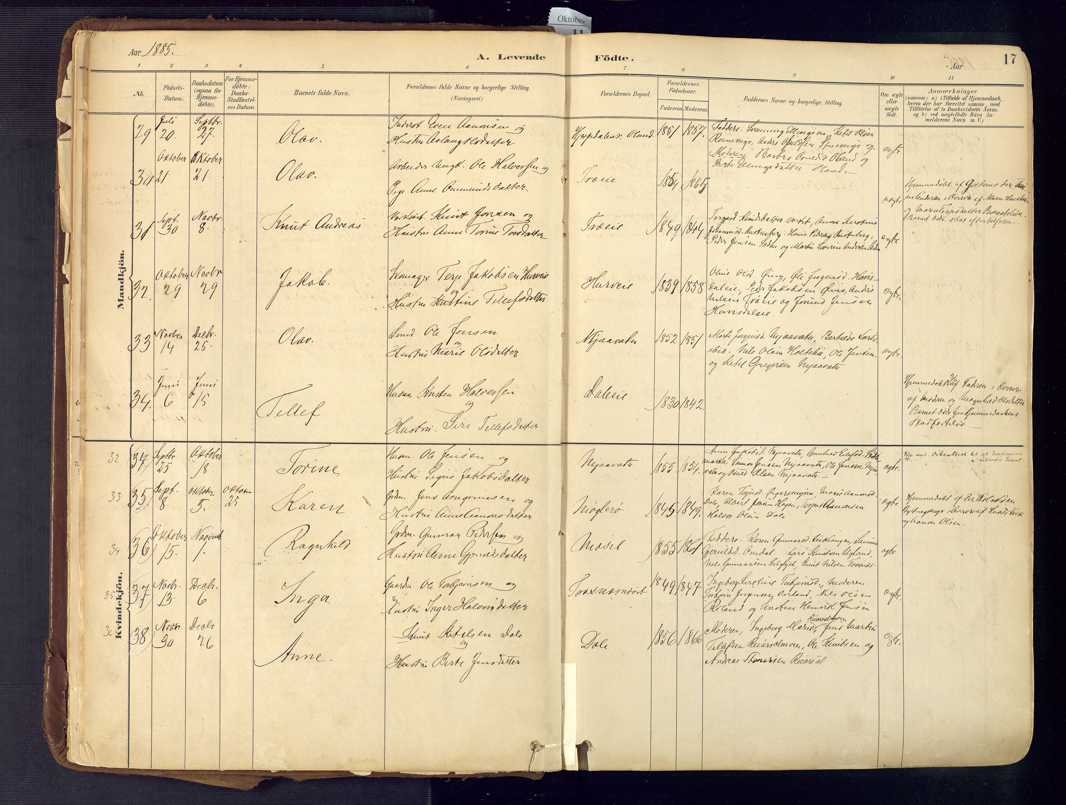 Froland sokneprestkontor, AV/SAK-1111-0013/F/Fa/L0005: Parish register (official) no. A 5, 1882-1921, p. 17