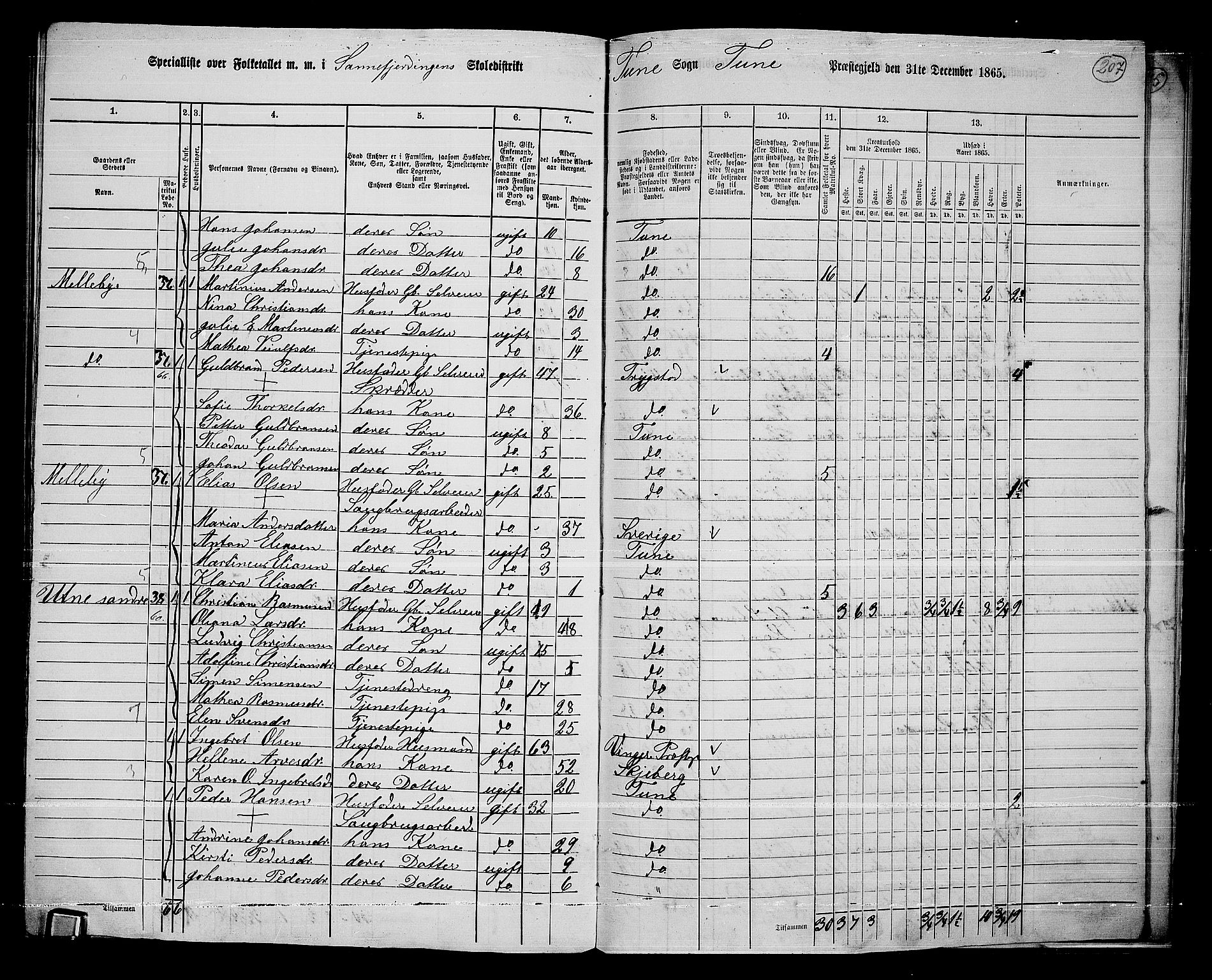 RA, 1865 census for Tune, 1865, p. 275