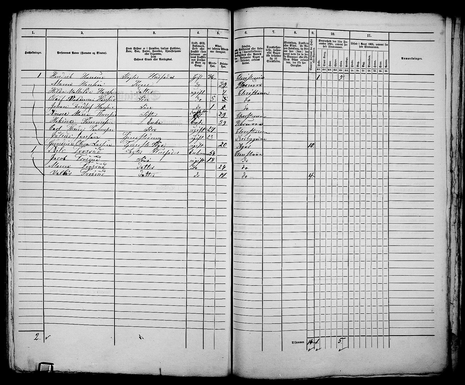 RA, 1865 census for Kristiania, 1865, p. 3499