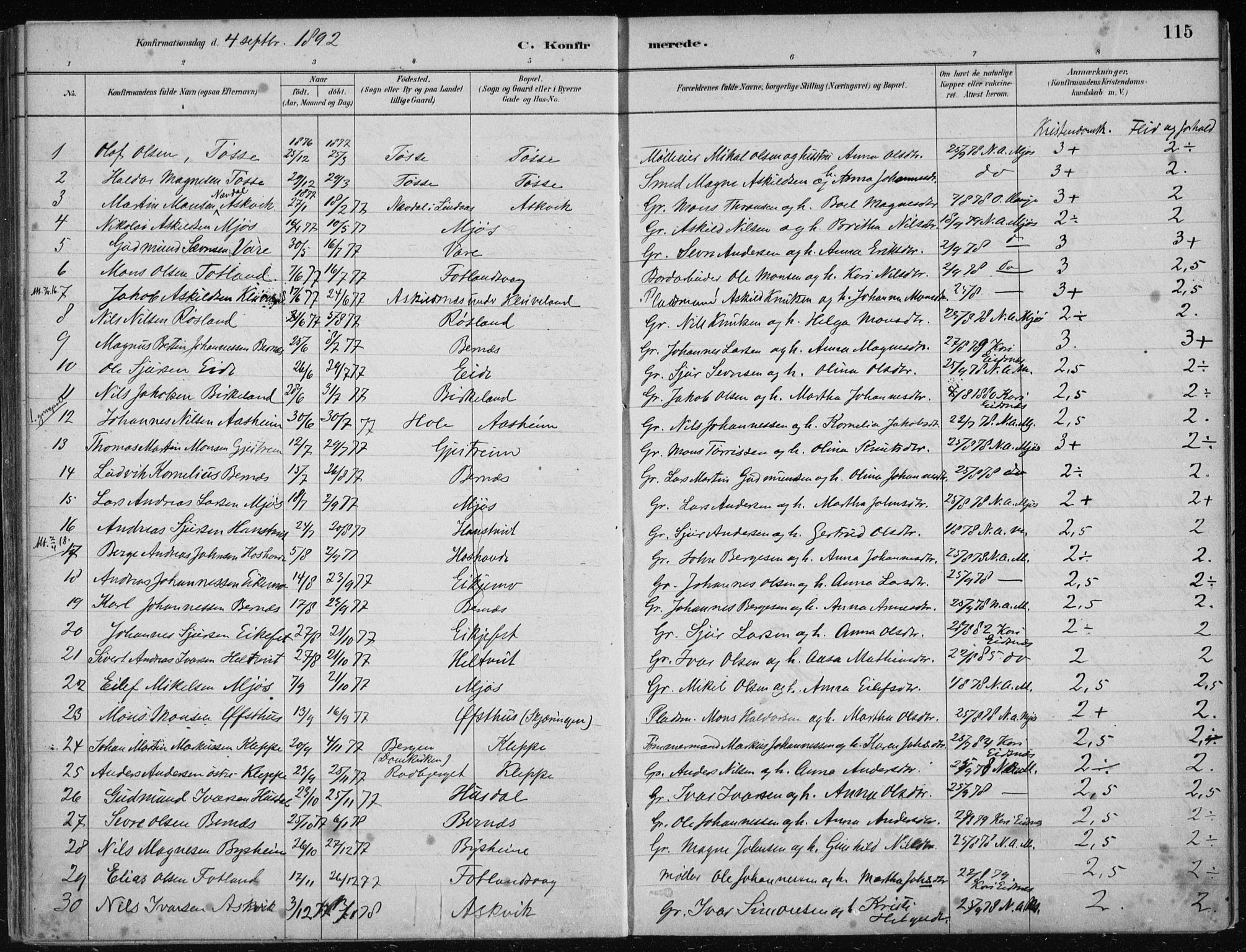 Hosanger sokneprestembete, AV/SAB-A-75801/H/Haa: Parish register (official) no. B  1, 1880-1896, p. 115