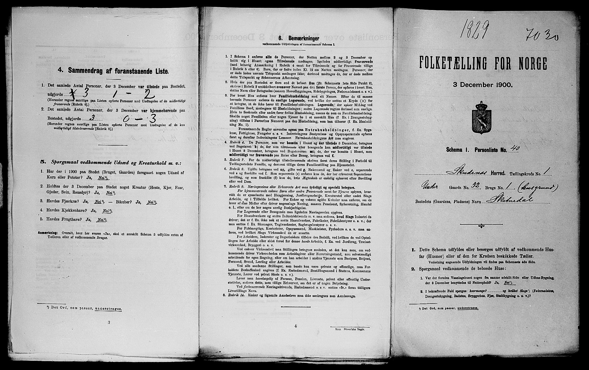 SAST, 1900 census for Skudenes, 1900, p. 35