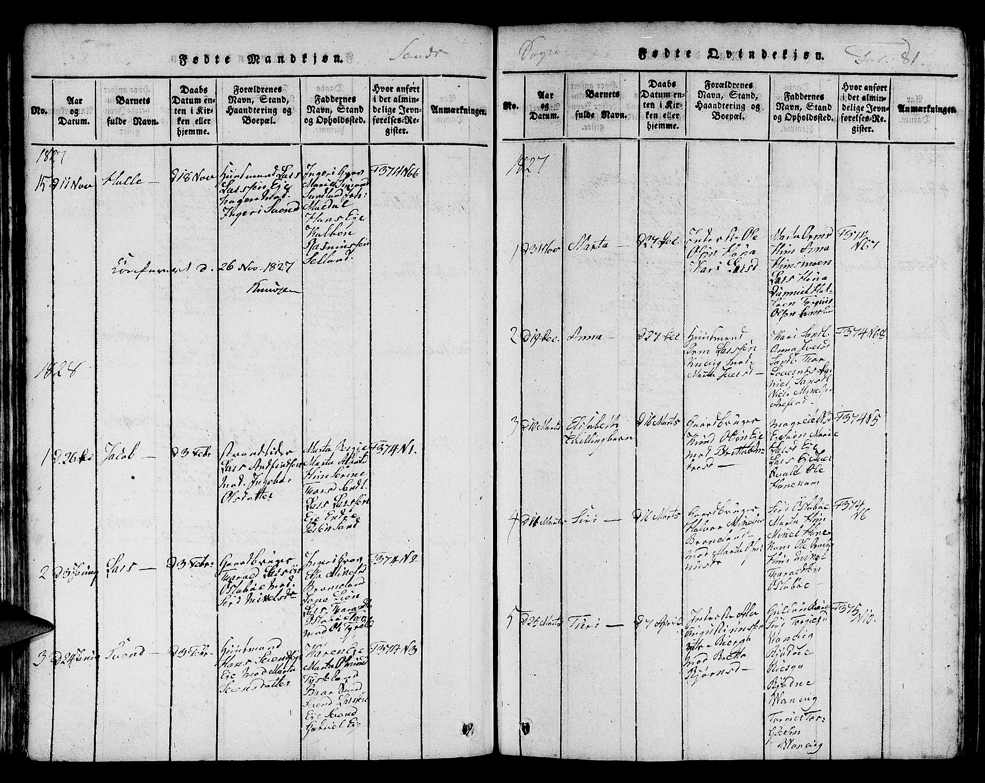 Jelsa sokneprestkontor, SAST/A-101842/01/V: Parish register (copy) no. B 1 /2, 1816-1828, p. 81