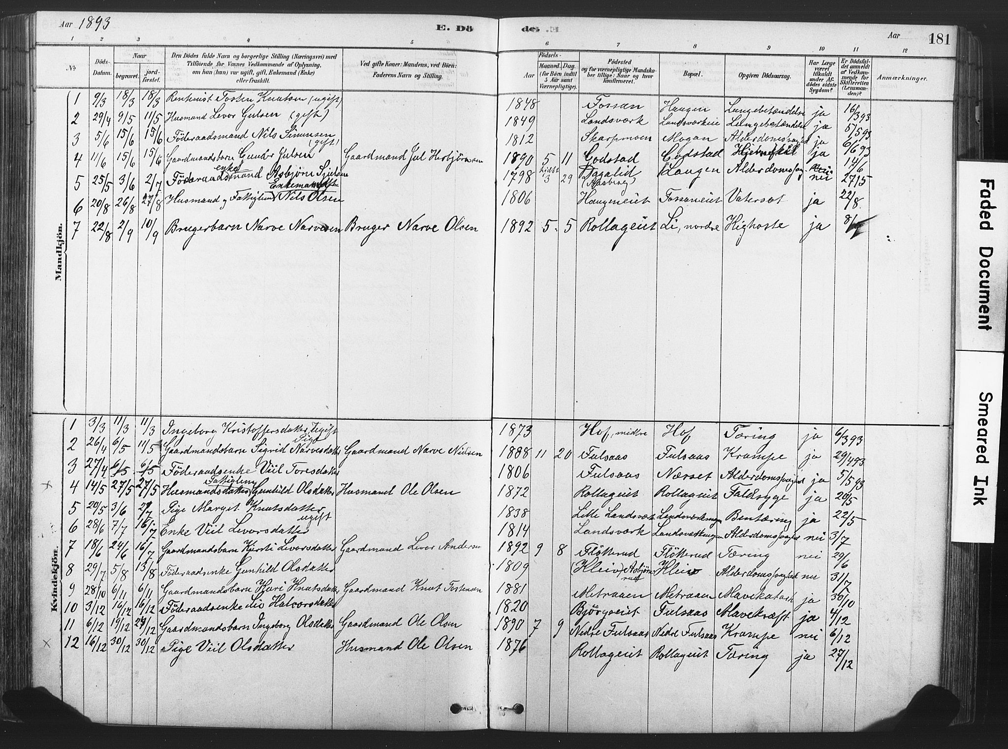 Rollag kirkebøker, SAKO/A-240/F/Fa/L0011: Parish register (official) no. I 11, 1878-1902, p. 181