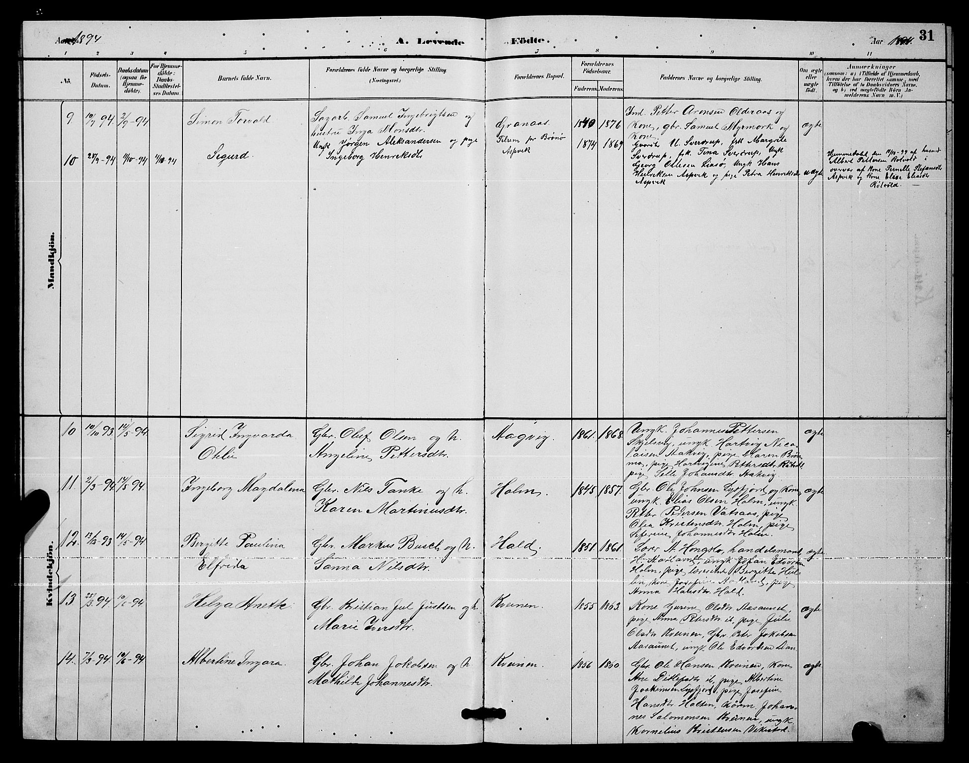 Ministerialprotokoller, klokkerbøker og fødselsregistre - Nordland, AV/SAT-A-1459/811/L0169: Parish register (copy) no. 811C01, 1884-1894, p. 31