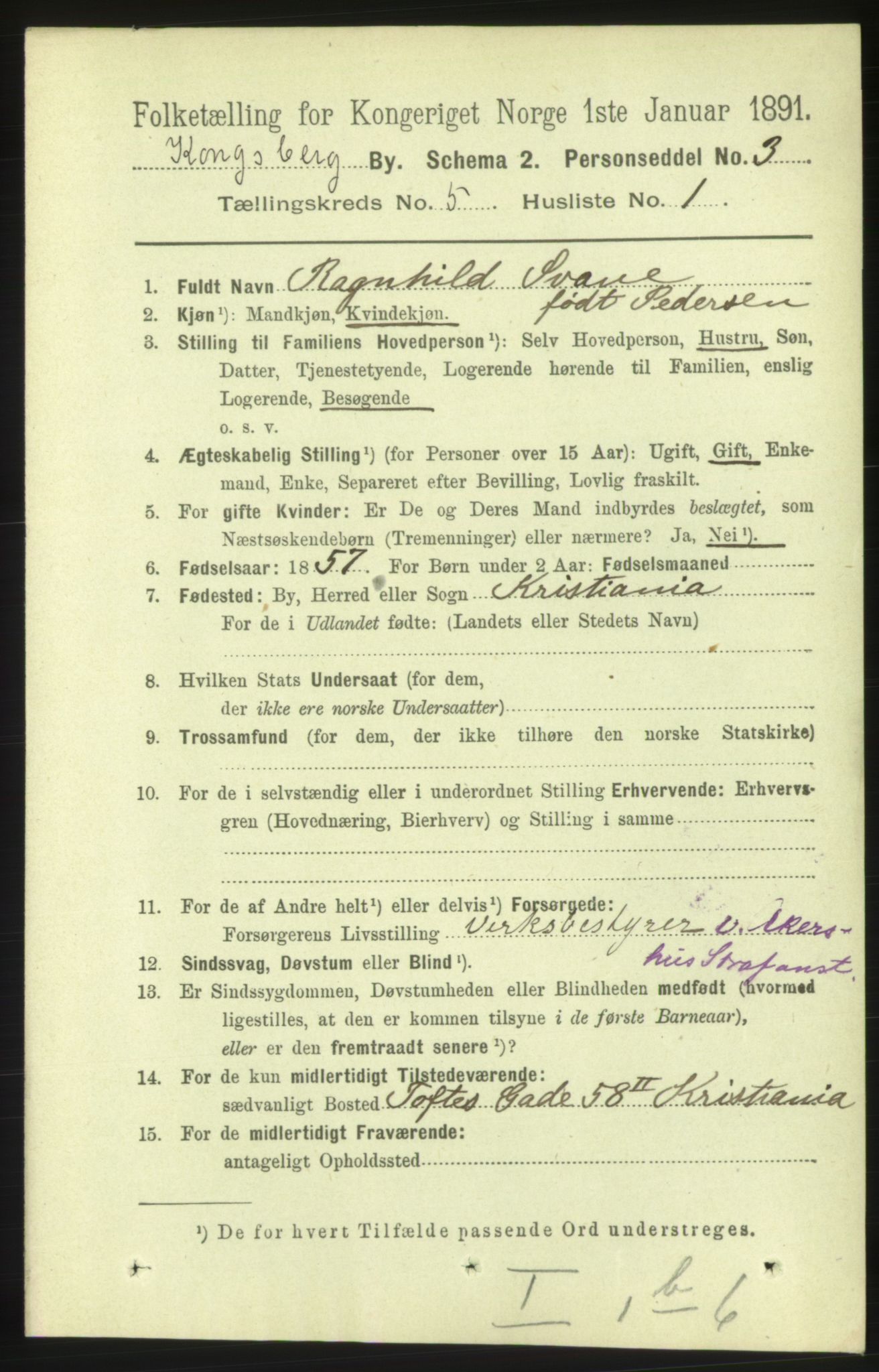 RA, 1891 census for 0604 Kongsberg, 1891, p. 4141