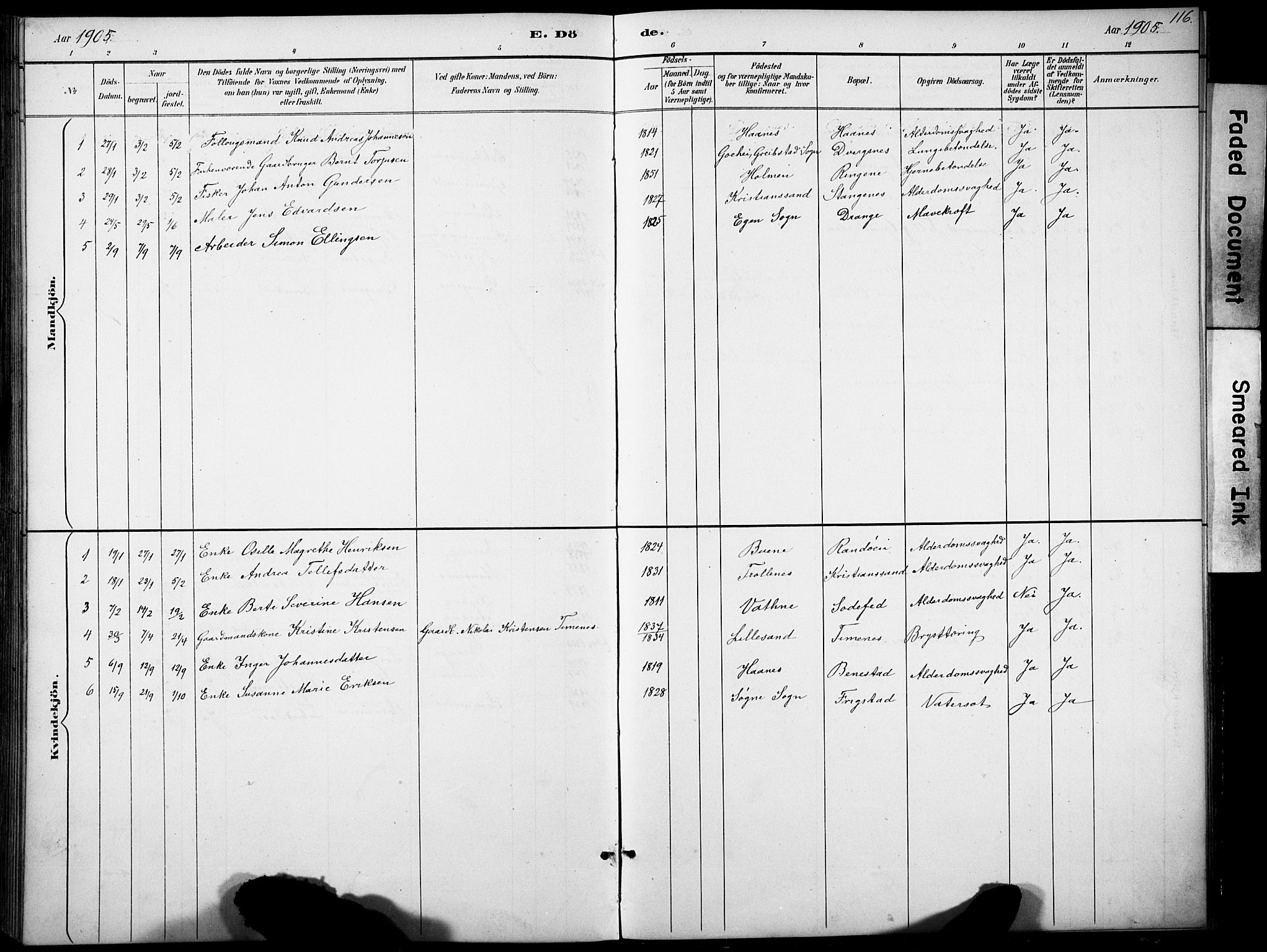 Oddernes sokneprestkontor, SAK/1111-0033/F/Fb/Fbb/L0002: Parish register (copy) no. B 2, 1889-1933, p. 116