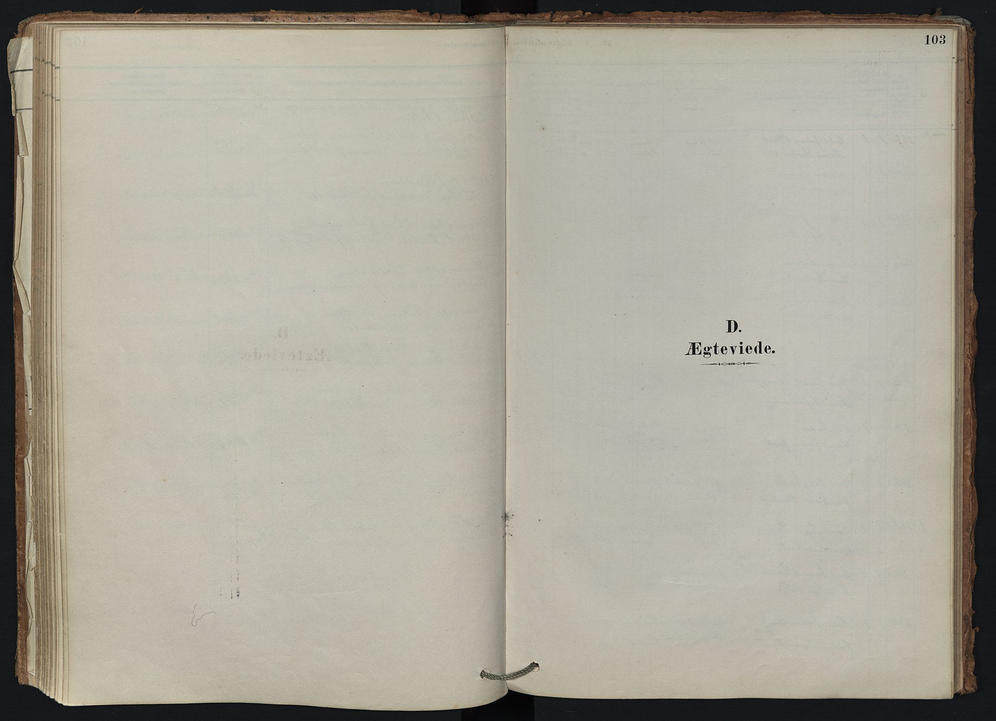 Brunlanes kirkebøker, SAKO/A-342/F/Fd/L0001: Parish register (official) no. IV 1, 1878-1917, p. 103