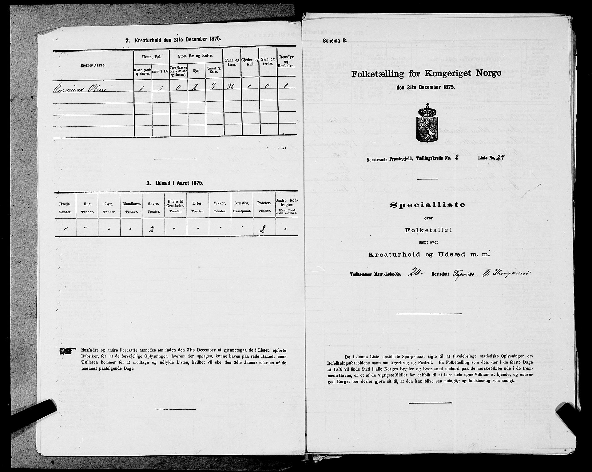 SAST, 1875 census for 1139P Nedstrand, 1875, p. 603