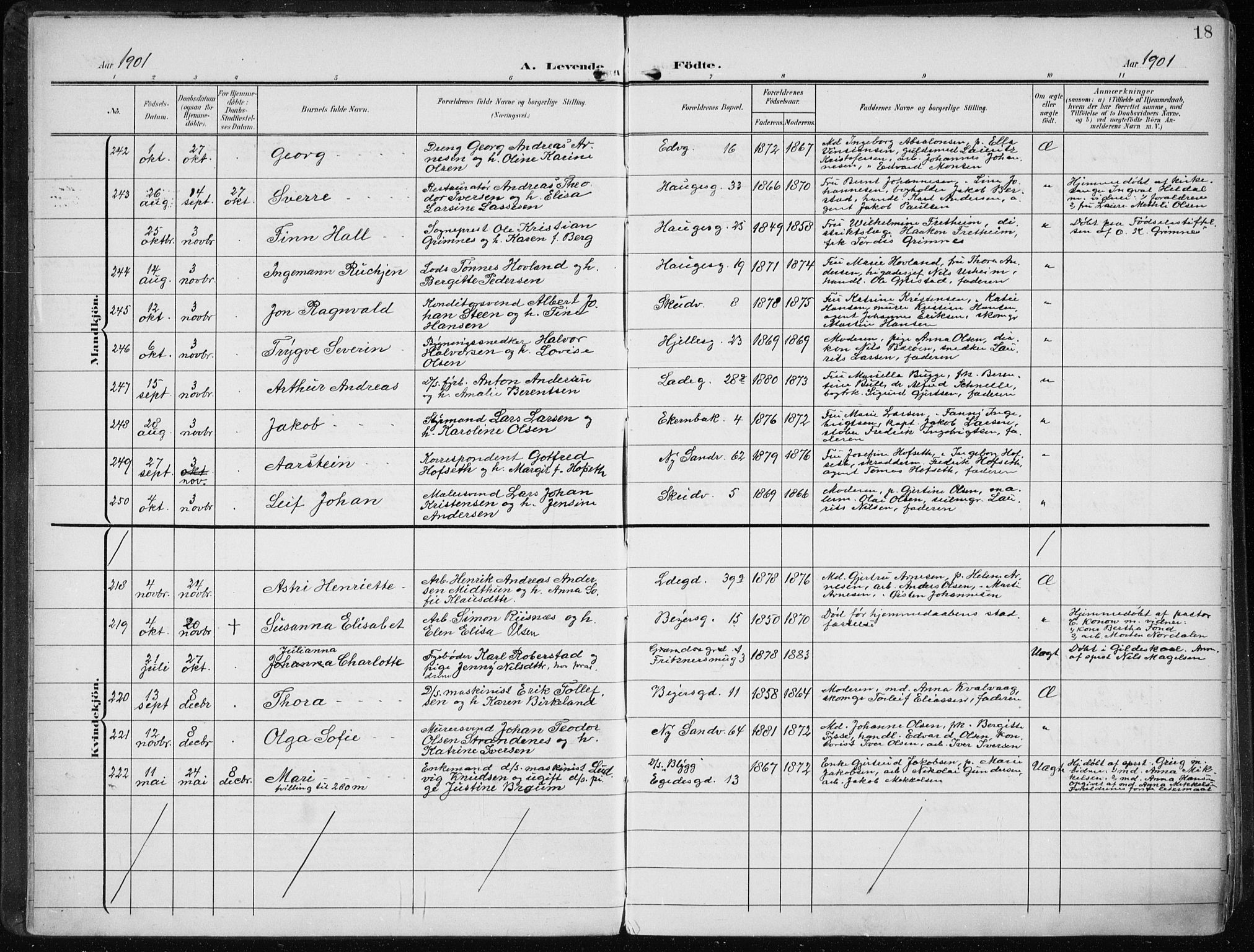 Sandviken Sokneprestembete, AV/SAB-A-77601/H/Ha/L0006: Parish register (official) no. B 3, 1901-1912, p. 18