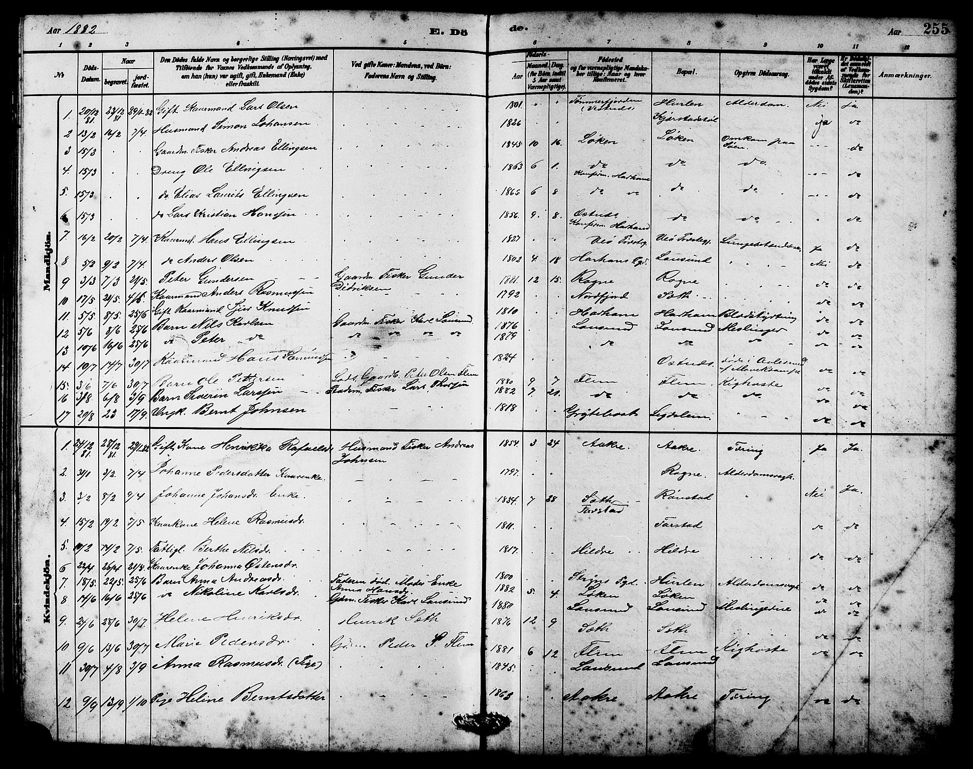 Ministerialprotokoller, klokkerbøker og fødselsregistre - Møre og Romsdal, SAT/A-1454/536/L0510: Parish register (copy) no. 536C05, 1881-1898, p. 255