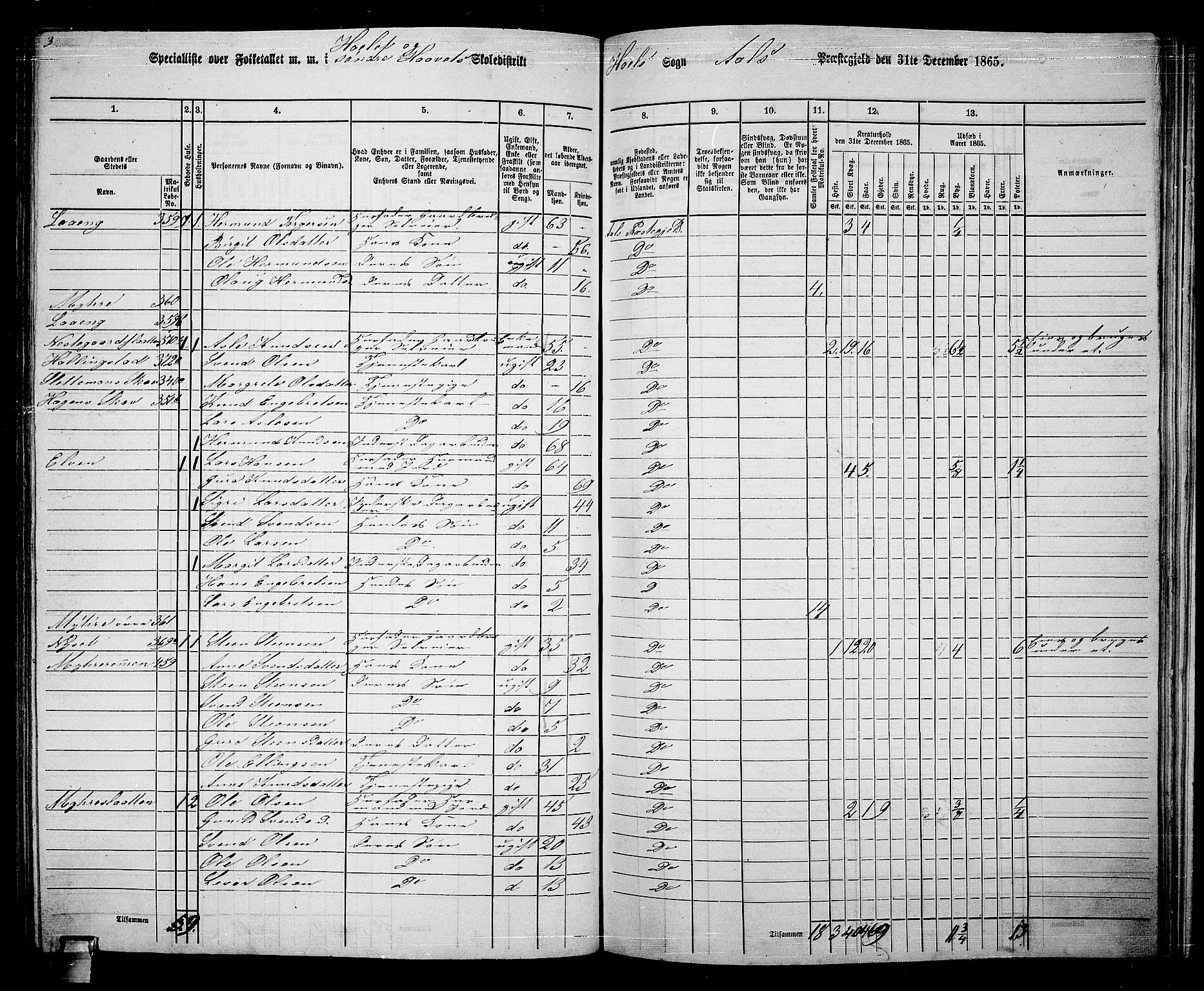 RA, 1865 census for Ål, 1865, p. 184