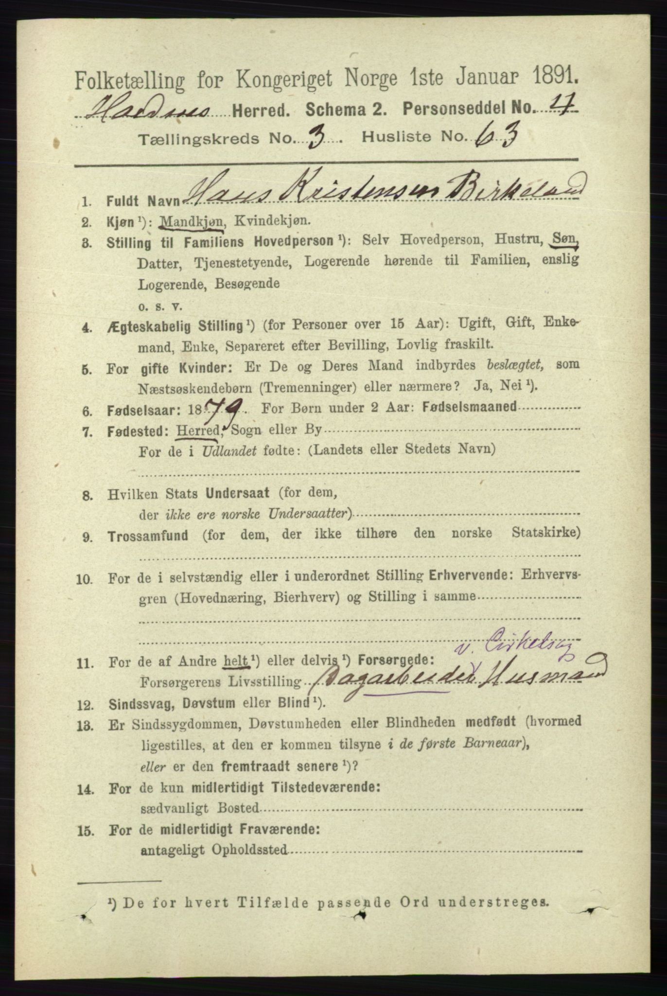 RA, 1891 census for 0936 Hornnes, 1891, p. 1005