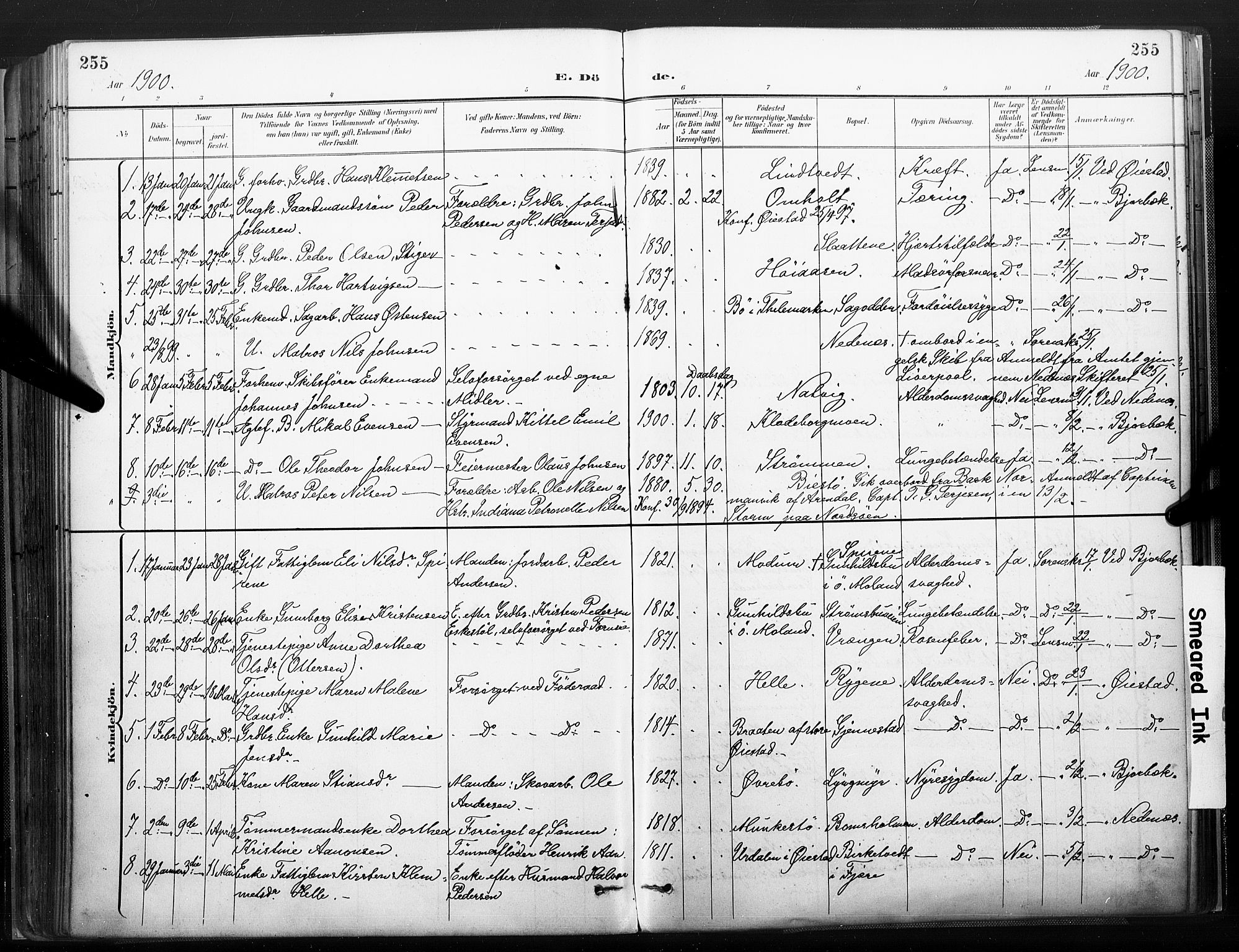 Øyestad sokneprestkontor, AV/SAK-1111-0049/F/Fa/L0018: Parish register (official) no. A 18, 1897-1907, p. 255