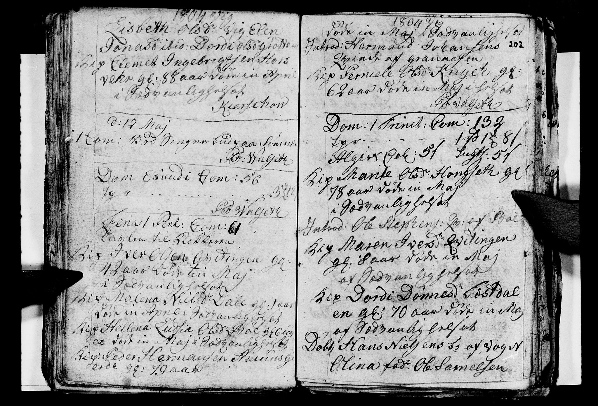 Ministerialprotokoller, klokkerbøker og fødselsregistre - Nordland, AV/SAT-A-1459/812/L0184: Parish register (copy) no. 812C02, 1793-1809, p. 202