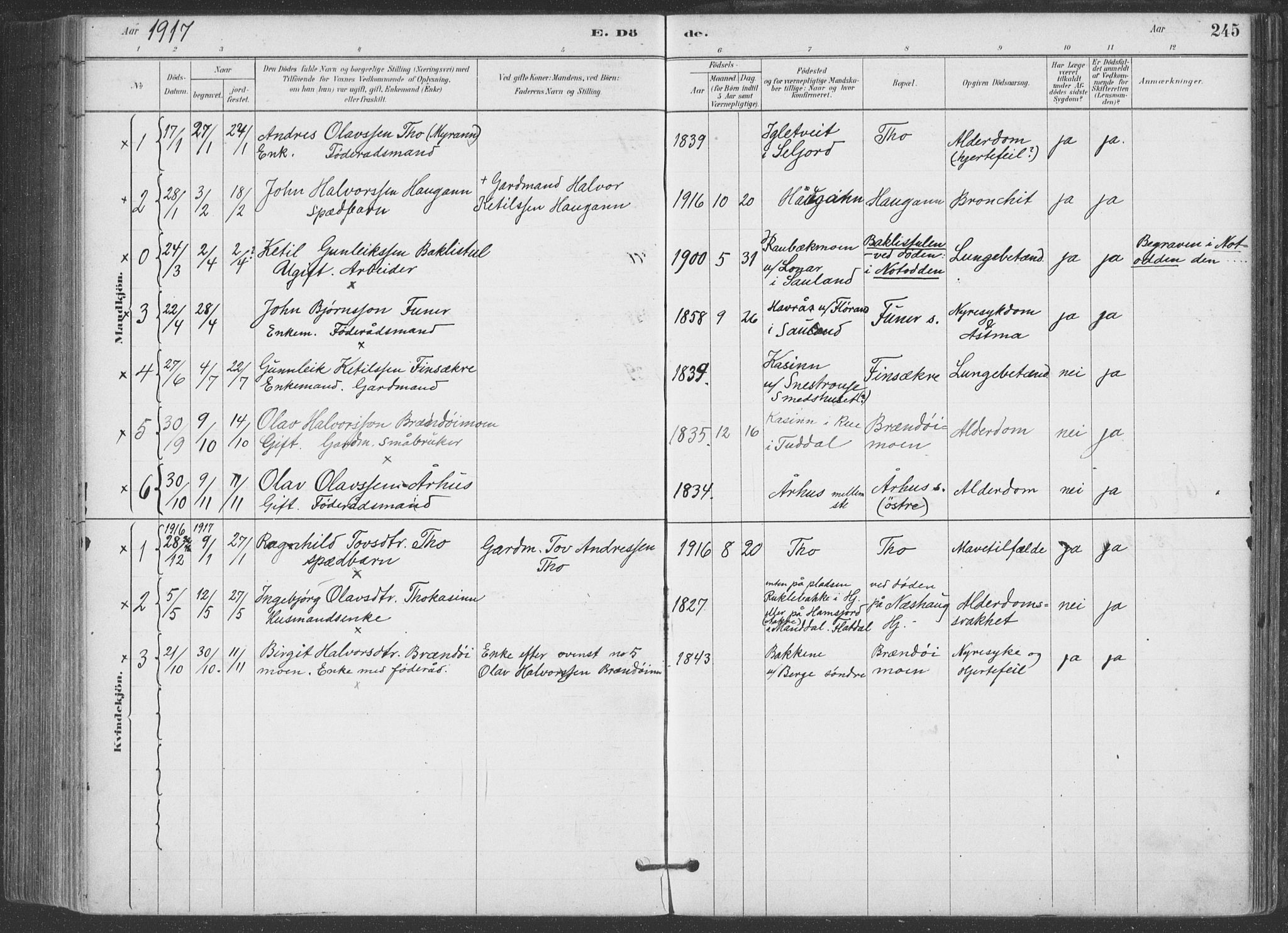 Hjartdal kirkebøker, SAKO/A-270/F/Fa/L0010: Parish register (official) no. I 10, 1880-1929, p. 245