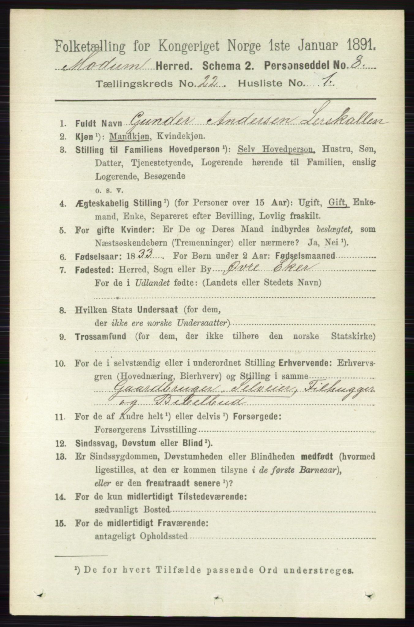 RA, 1891 census for 0623 Modum, 1891, p. 8396