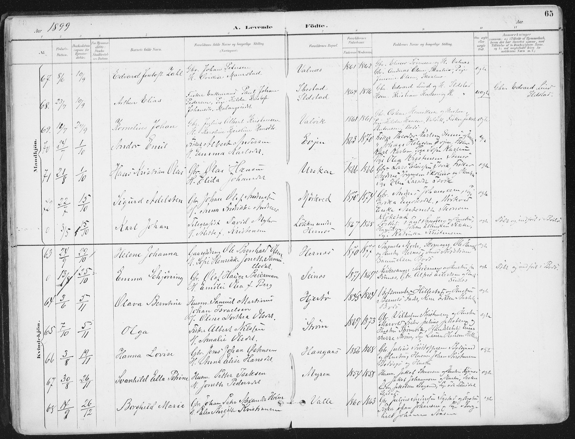 Ministerialprotokoller, klokkerbøker og fødselsregistre - Nordland, SAT/A-1459/802/L0055: Parish register (official) no. 802A02, 1894-1915, p. 65