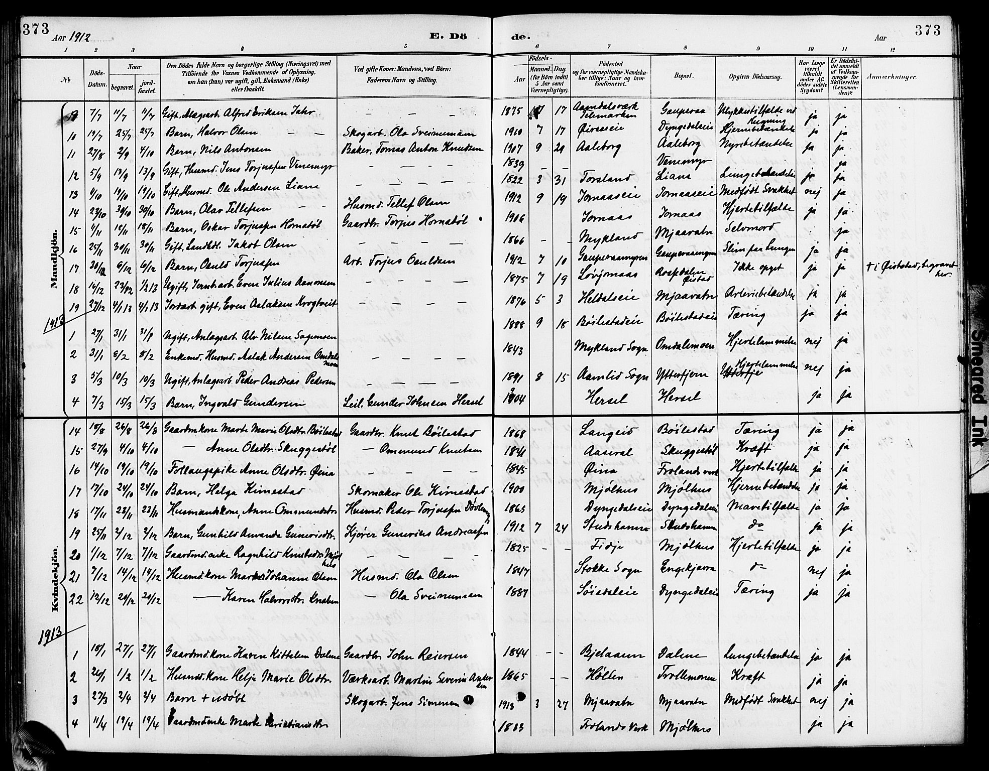 Froland sokneprestkontor, AV/SAK-1111-0013/F/Fb/L0010: Parish register (copy) no. B 10, 1893-1920, p. 373