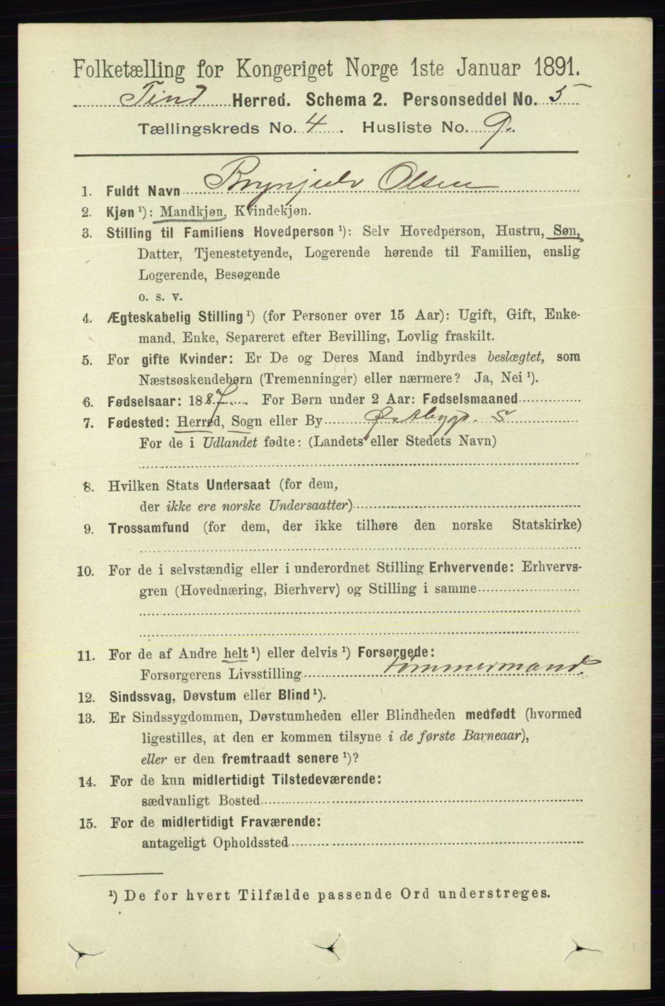 RA, 1891 census for 0826 Tinn, 1891, p. 779