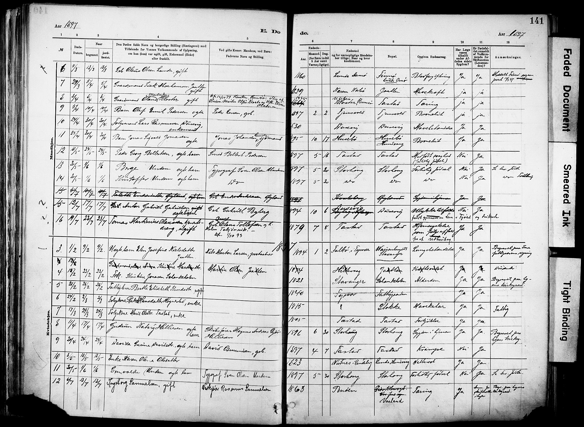 Hetland sokneprestkontor, SAST/A-101826/30/30BA/L0012: Parish register (official) no. A 12, 1882-1912, p. 141