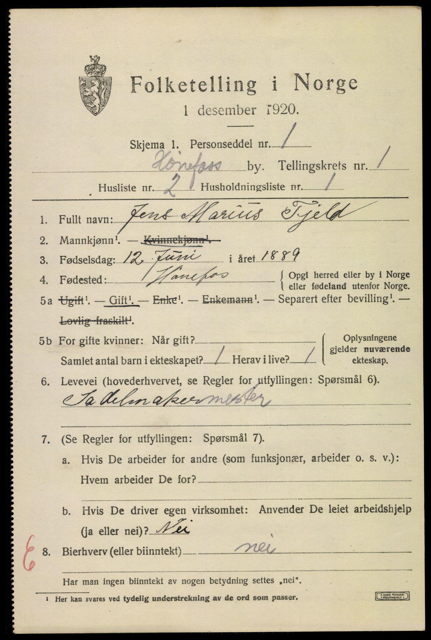 SAKO, 1920 census for Hønefoss, 1920, p. 2348