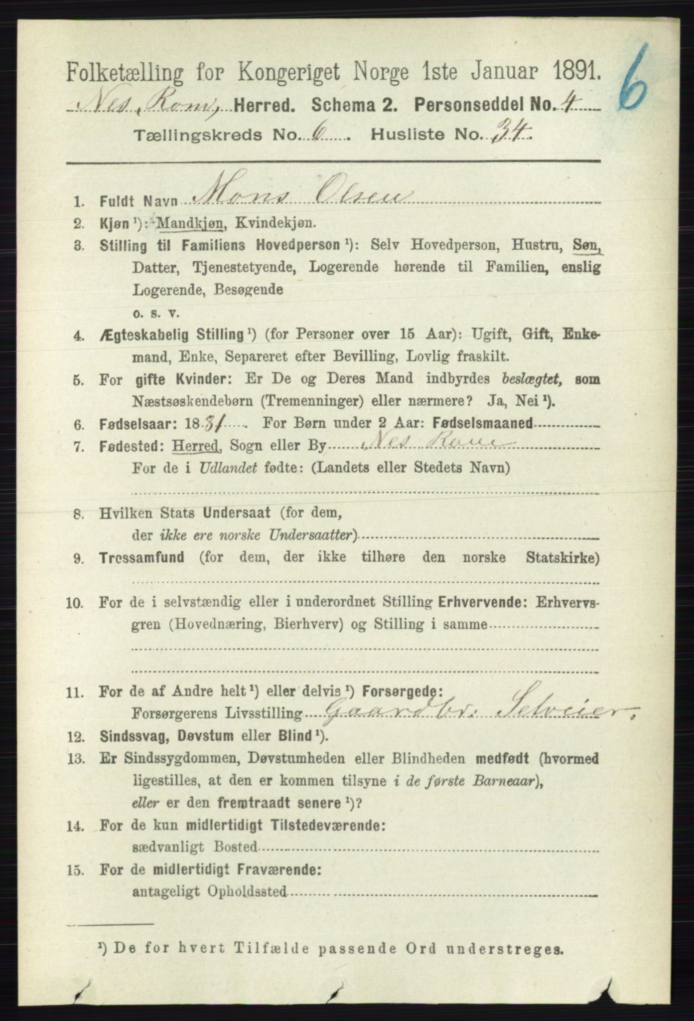 RA, 1891 census for 0236 Nes, 1891, p. 3597