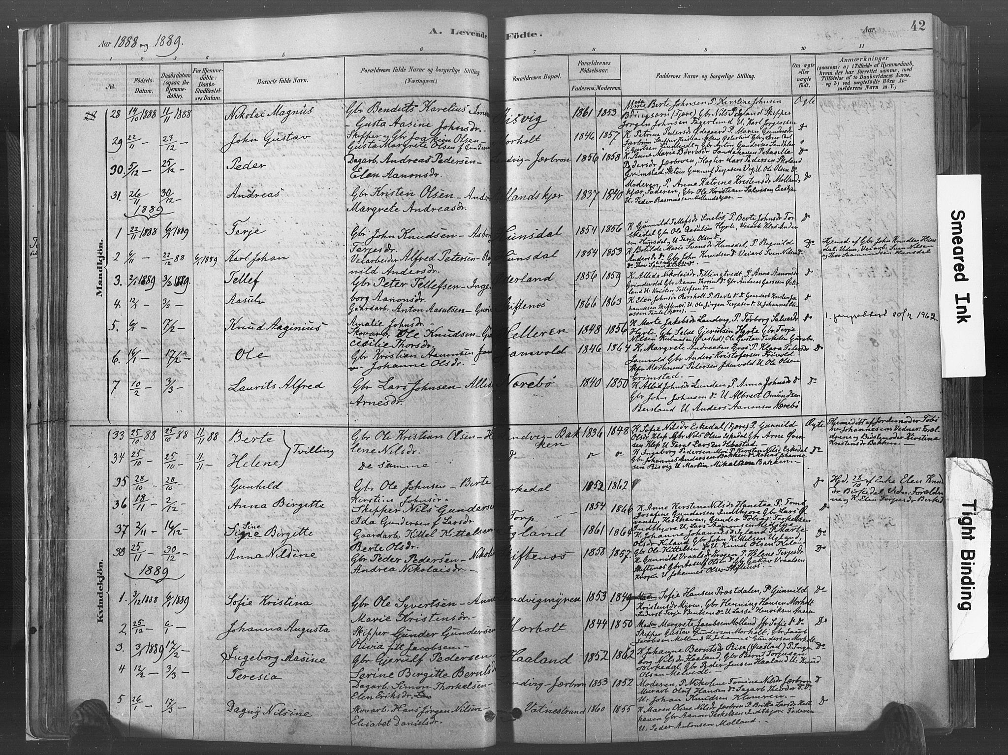 Hommedal sokneprestkontor, SAK/1111-0023/F/Fa/Fab/L0006: Parish register (official) no. A 6, 1878-1897, p. 42