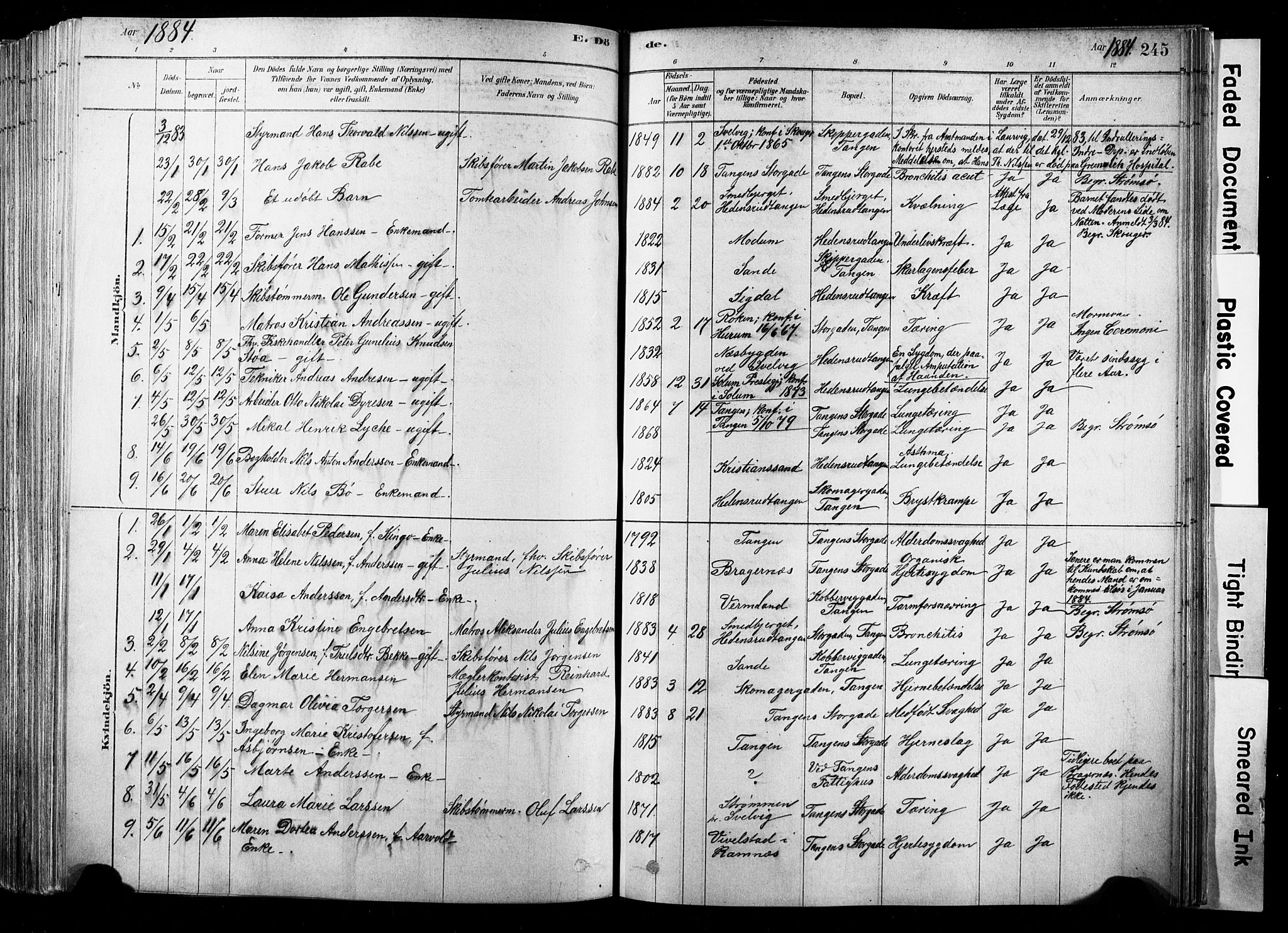 Strømsø kirkebøker, AV/SAKO-A-246/F/Fb/L0006: Parish register (official) no. II 6, 1879-1910, p. 245