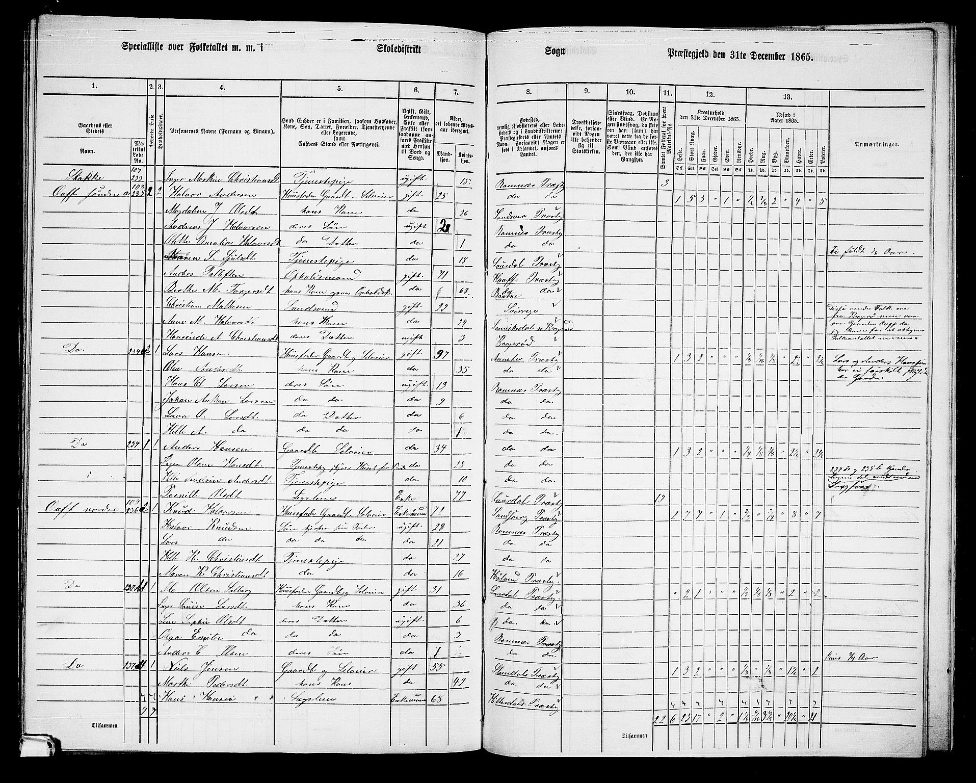 RA, 1865 census for Ramnes, 1865, p. 114