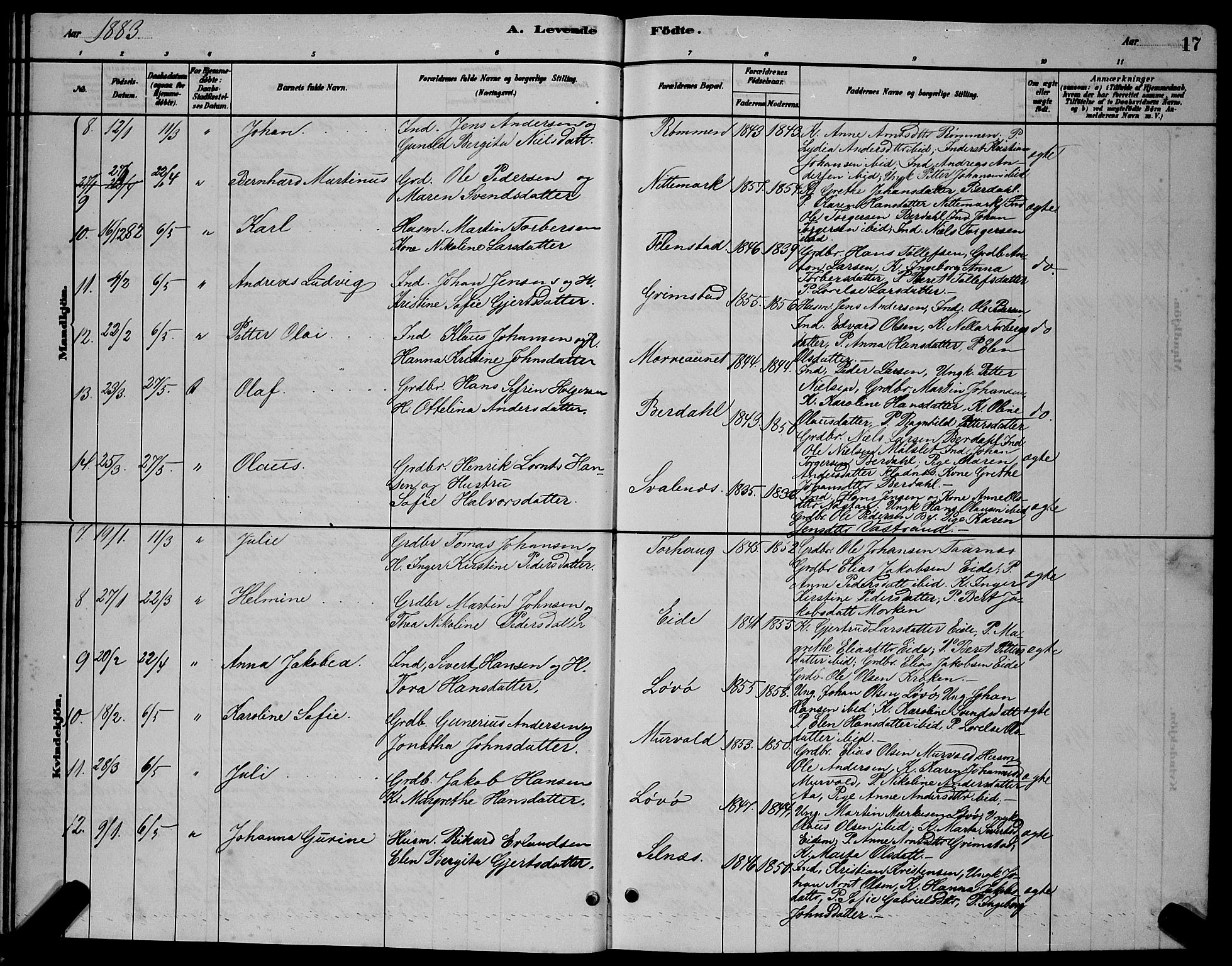 Ministerialprotokoller, klokkerbøker og fødselsregistre - Sør-Trøndelag, SAT/A-1456/655/L0687: Parish register (copy) no. 655C03, 1880-1898, p. 17