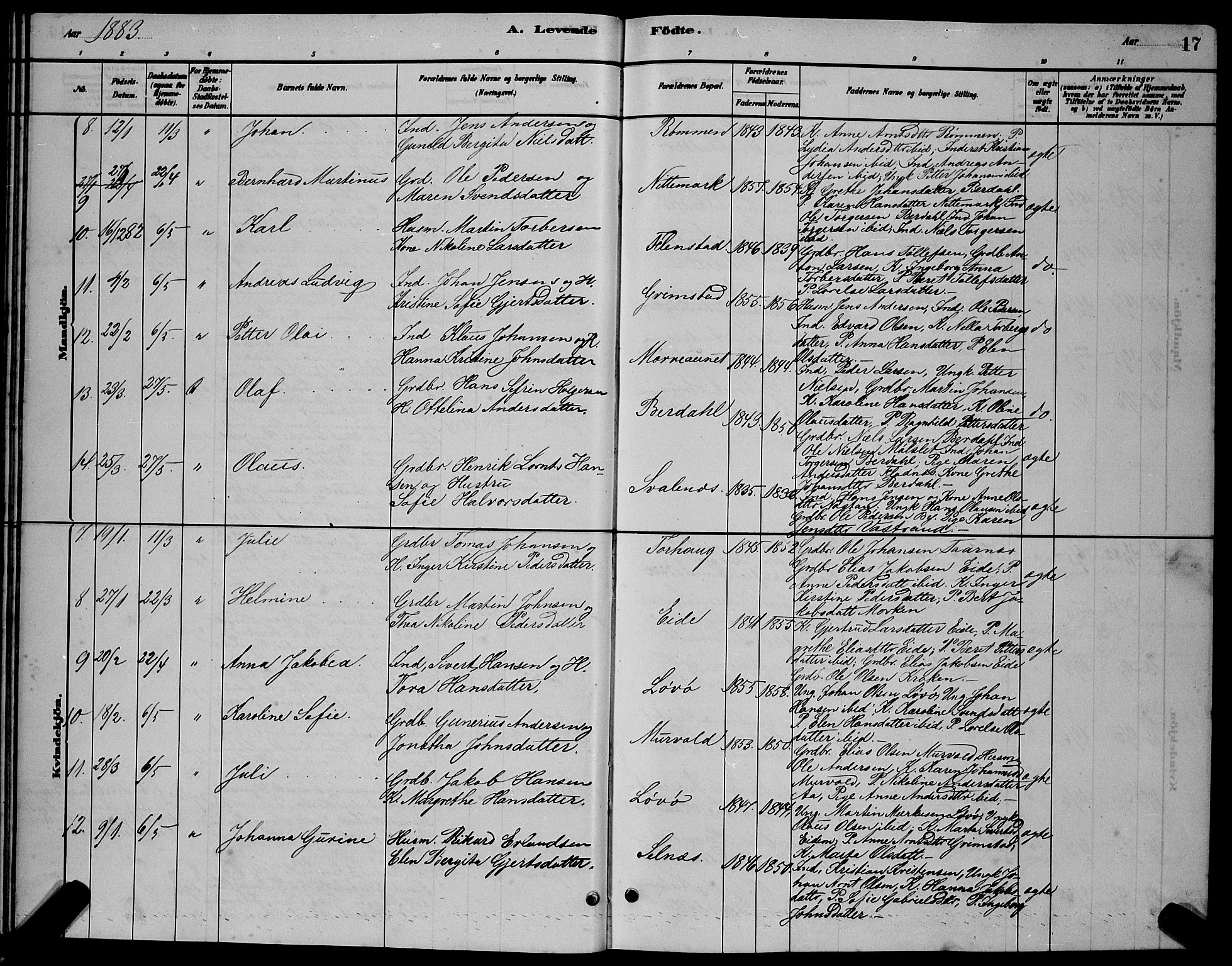 Ministerialprotokoller, klokkerbøker og fødselsregistre - Sør-Trøndelag, AV/SAT-A-1456/655/L0687: Parish register (copy) no. 655C03, 1880-1898, p. 17