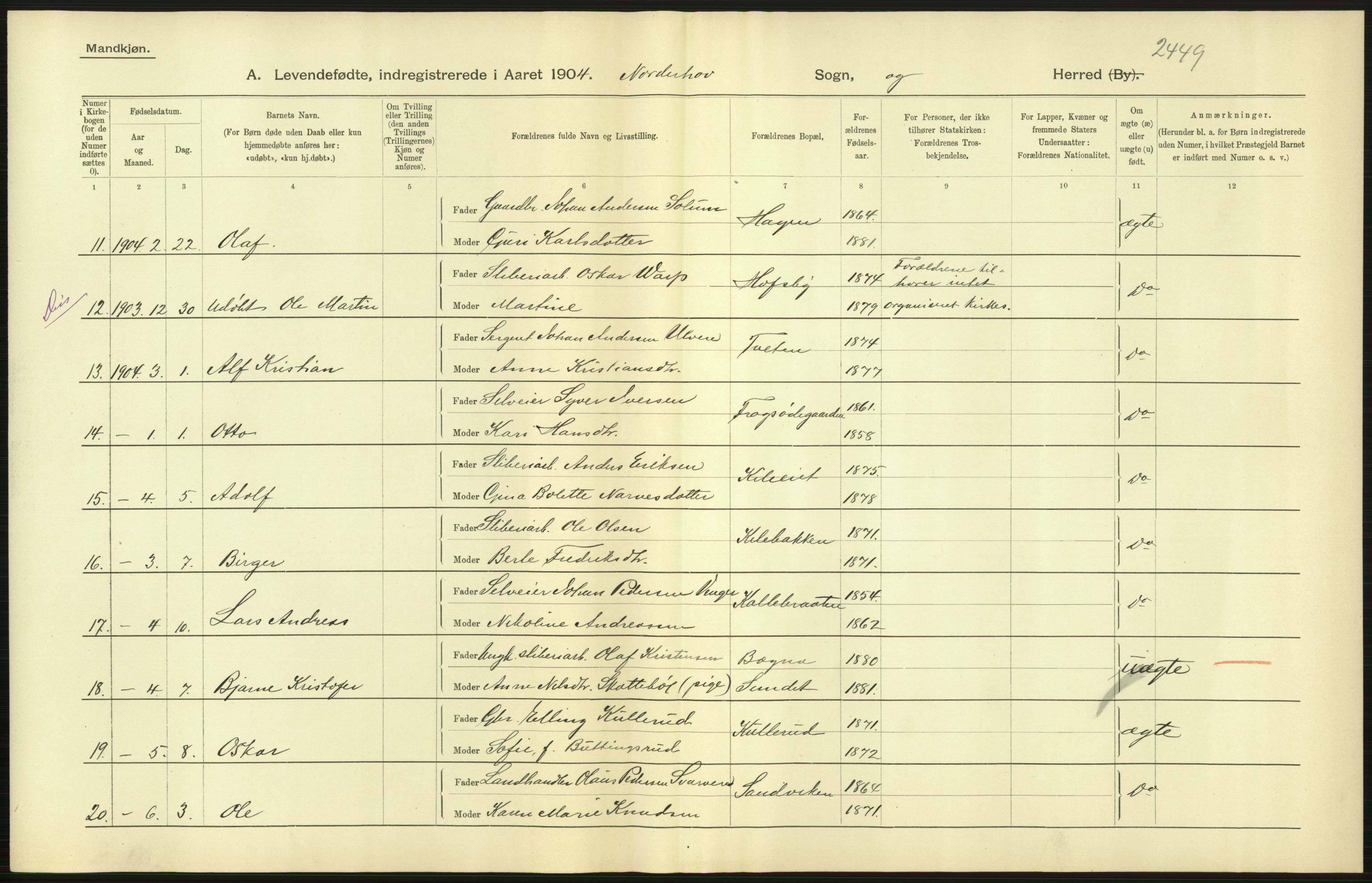 Statistisk sentralbyrå, Sosiodemografiske emner, Befolkning, AV/RA-S-2228/D/Df/Dfa/Dfab/L0007: Buskerud amt: Fødte, gifte, døde, 1904, p. 17