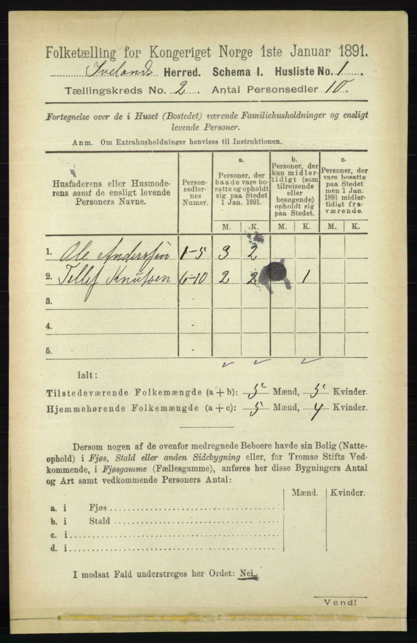 RA, 1891 census for 0935 Iveland, 1891, p. 366