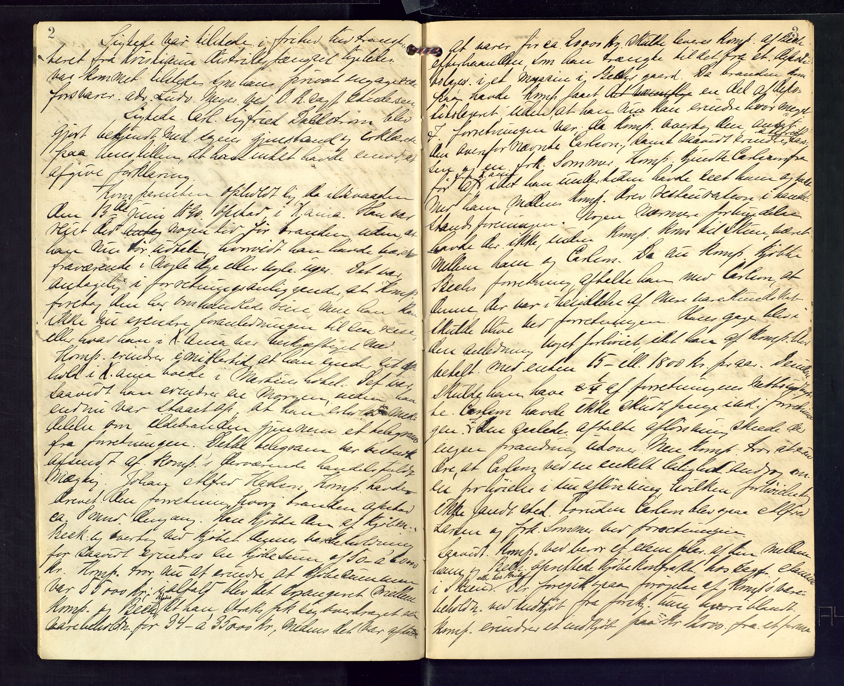 Skien byfogd, AV/SAKO-A-219/F/Fb/L0011b: Forhørsprotokoll, 1894, p. 2-3