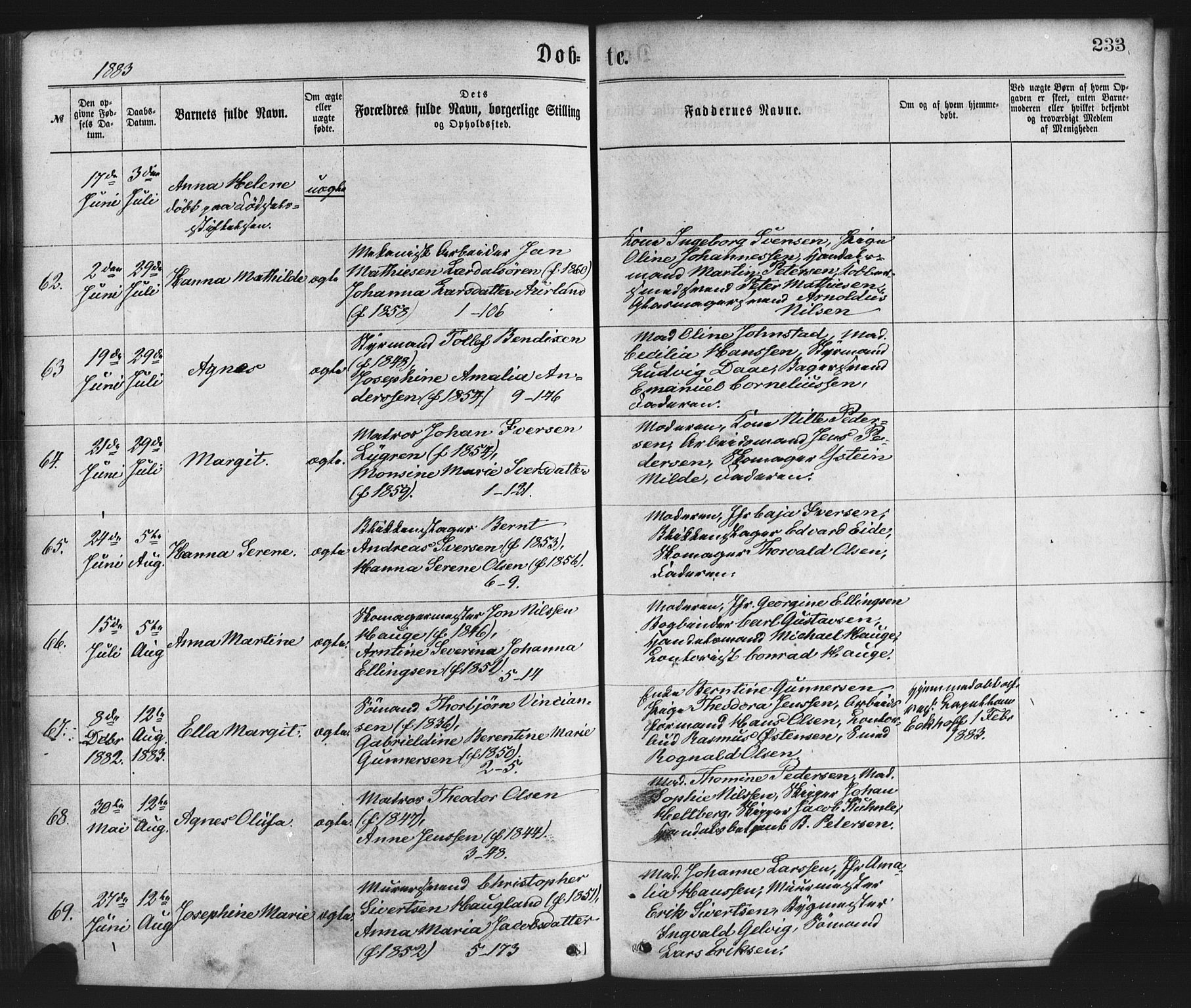 Nykirken Sokneprestembete, SAB/A-77101/H/Haa/L0017: Parish register (official) no. B 4, 1870-1884, p. 233