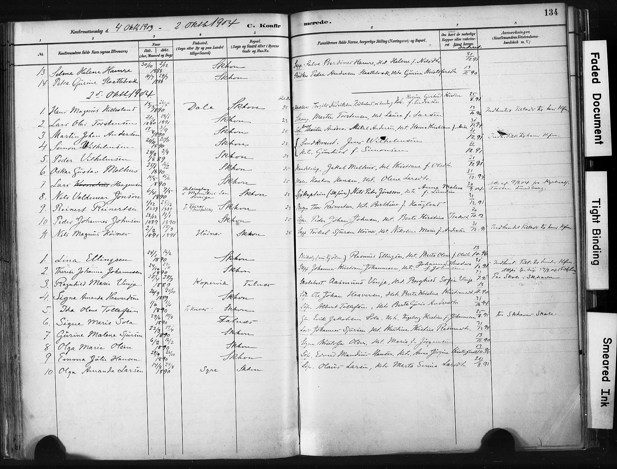 Skudenes sokneprestkontor, AV/SAST-A -101849/H/Ha/Haa/L0008: Parish register (official) no. A 5, 1882-1912, p. 134