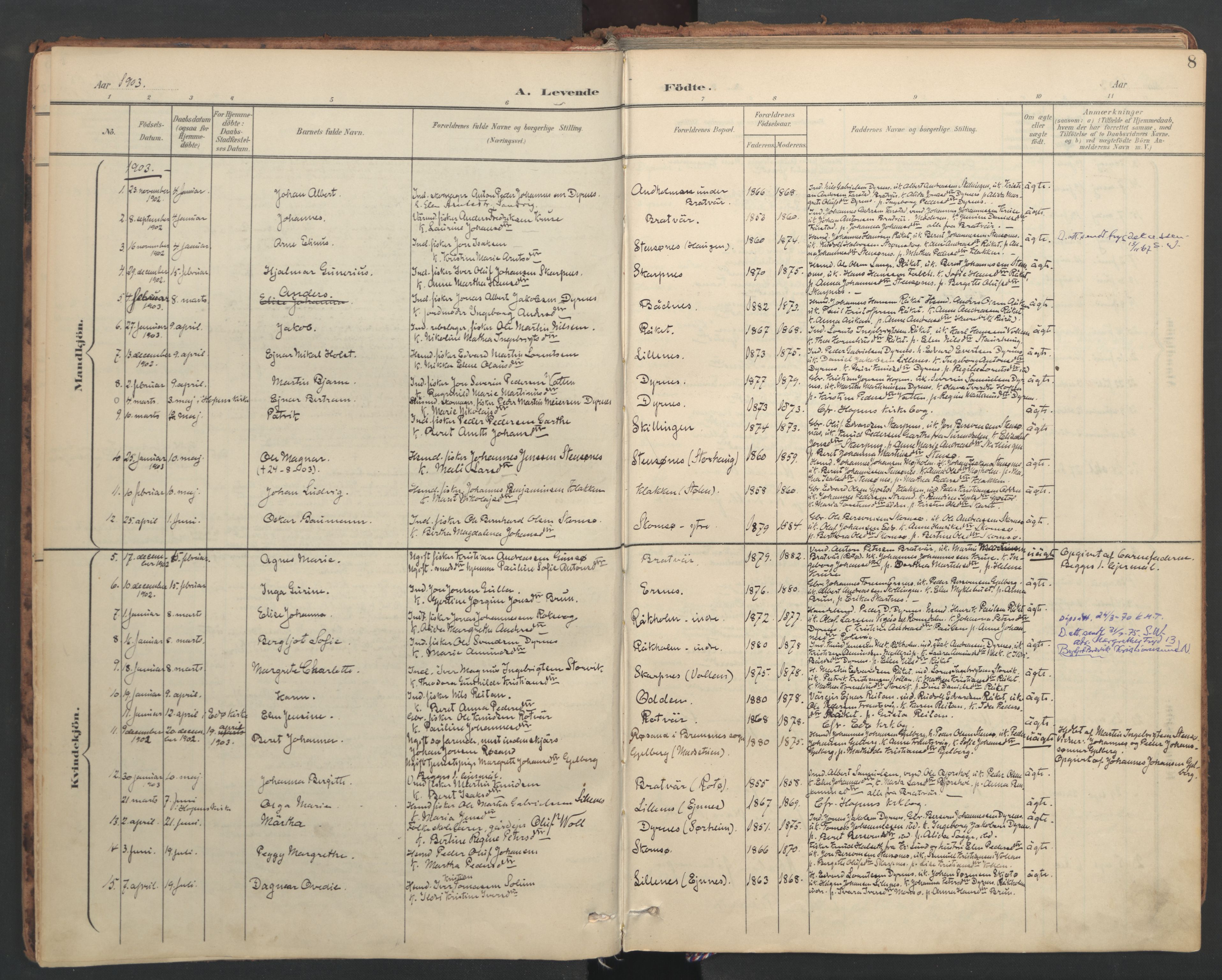 Ministerialprotokoller, klokkerbøker og fødselsregistre - Møre og Romsdal, SAT/A-1454/582/L0948: Parish register (official) no. 582A02, 1901-1922, p. 8