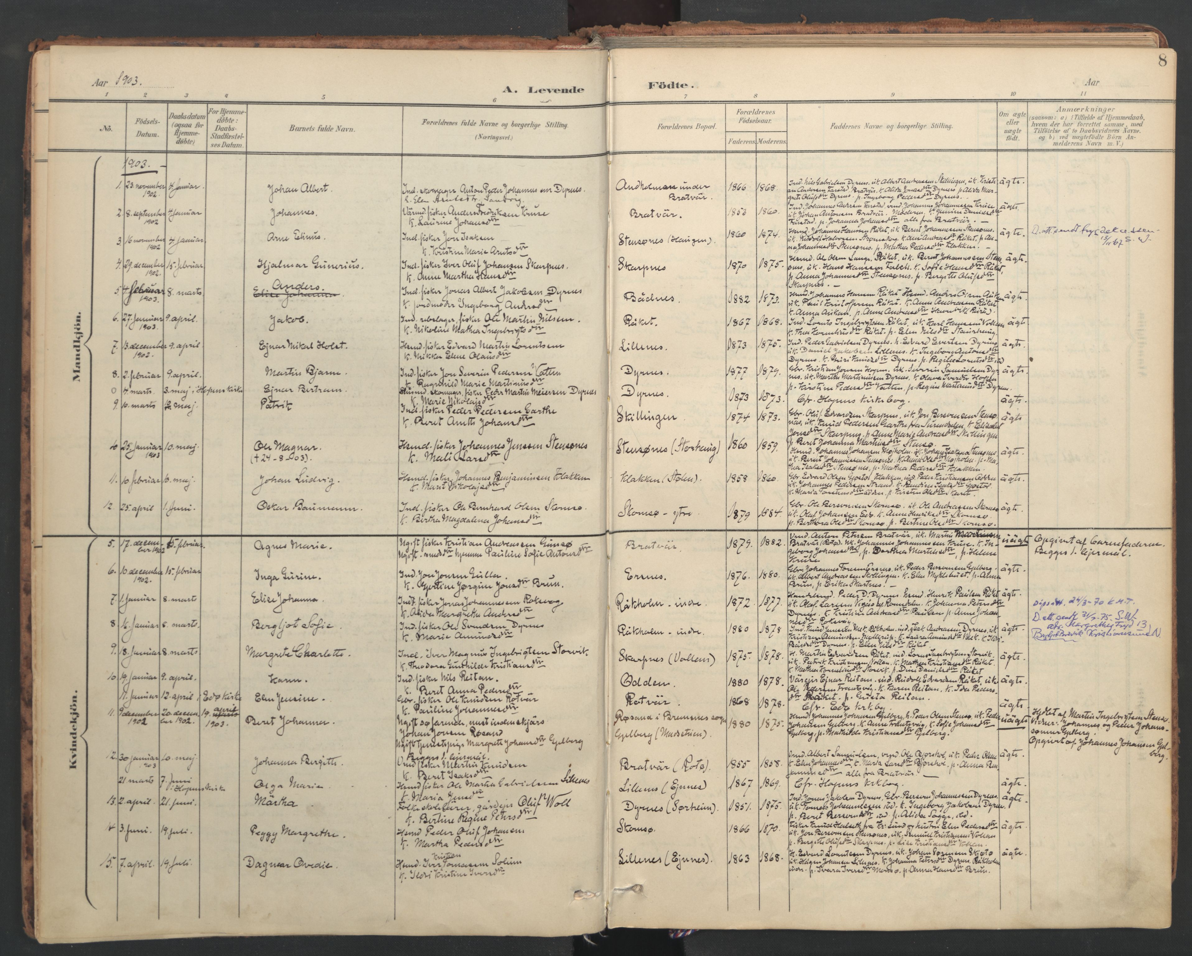 Ministerialprotokoller, klokkerbøker og fødselsregistre - Møre og Romsdal, AV/SAT-A-1454/582/L0948: Parish register (official) no. 582A02, 1901-1922, p. 8