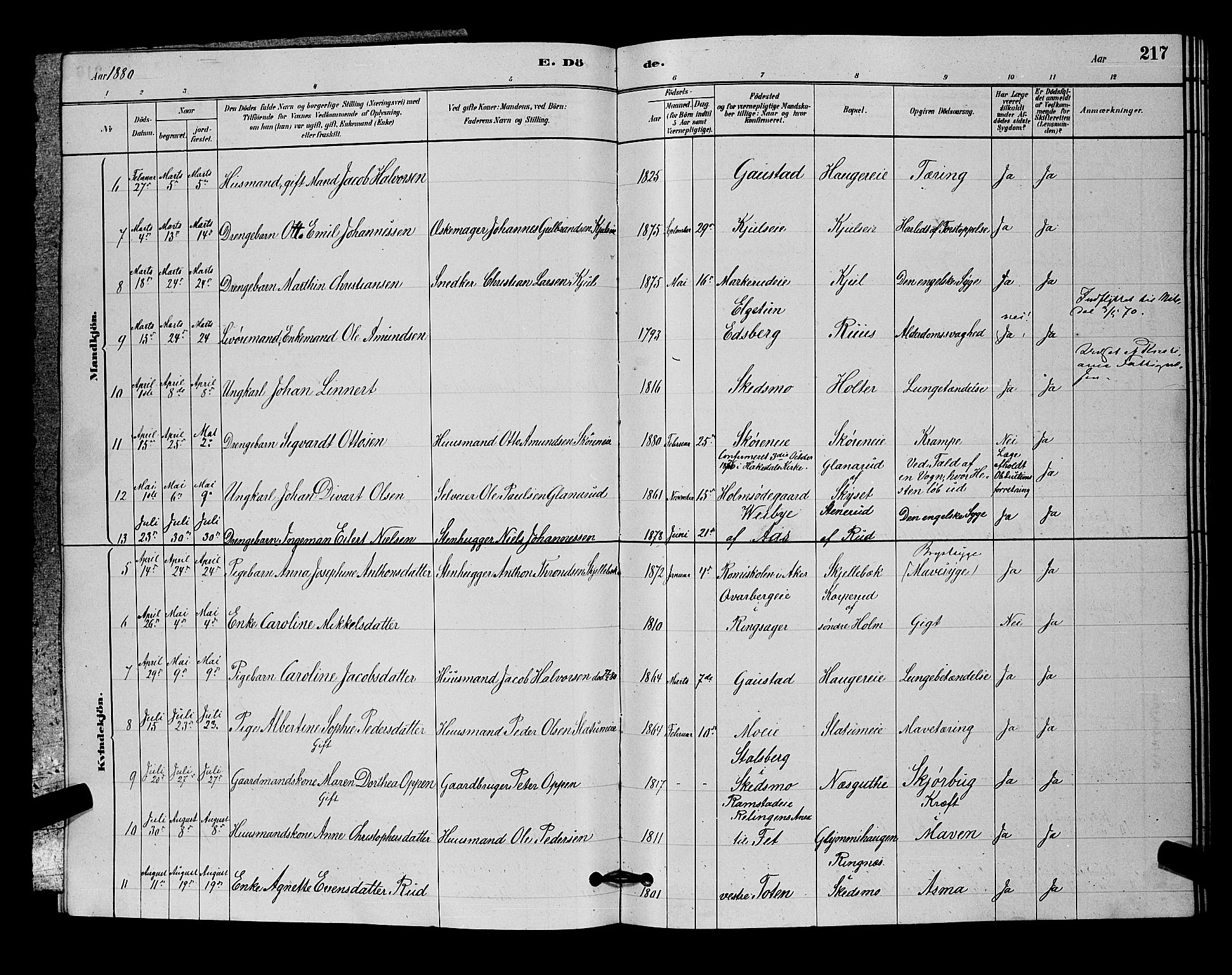 Nittedal prestekontor Kirkebøker, SAO/A-10365a/G/Ga/L0002: Parish register (copy) no. I 2, 1879-1901, p. 217