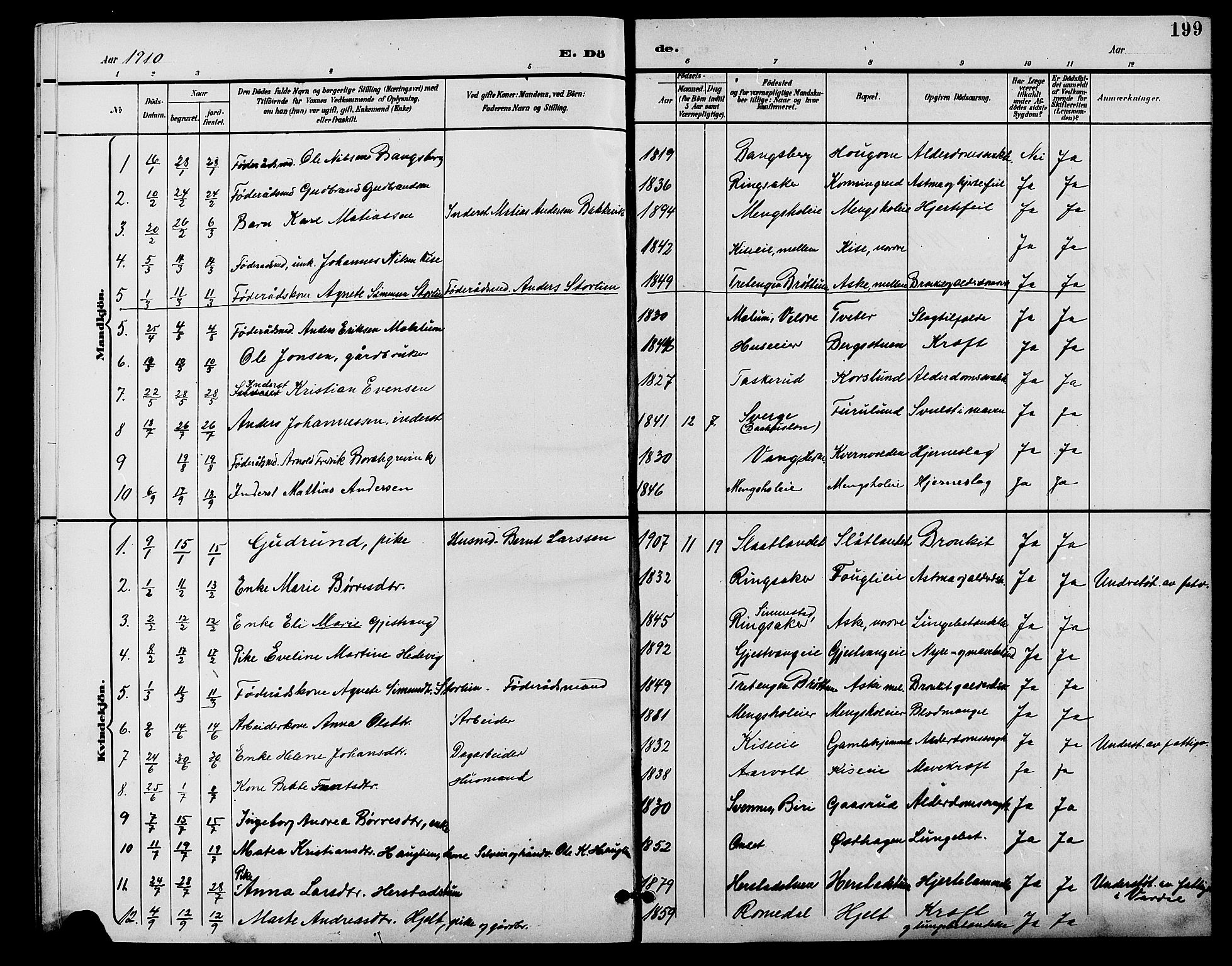 Nes prestekontor, Hedmark, AV/SAH-PREST-020/L/La/L0007: Parish register (copy) no. 7, 1892-1912, p. 199