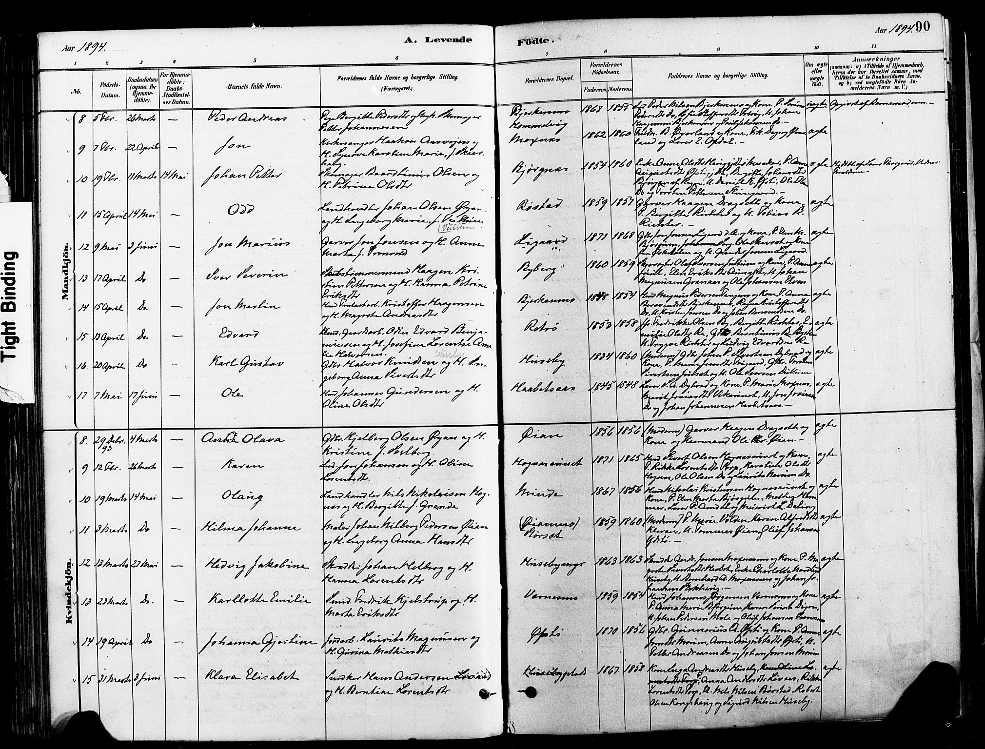 Ministerialprotokoller, klokkerbøker og fødselsregistre - Nord-Trøndelag, AV/SAT-A-1458/709/L0077: Parish register (official) no. 709A17, 1880-1895, p. 90