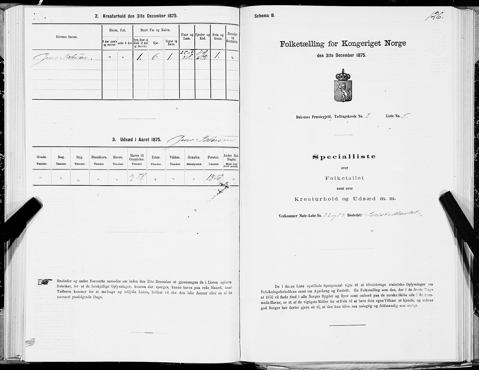 SAT, 1875 census for 1860P Buksnes, 1875, p. 1126