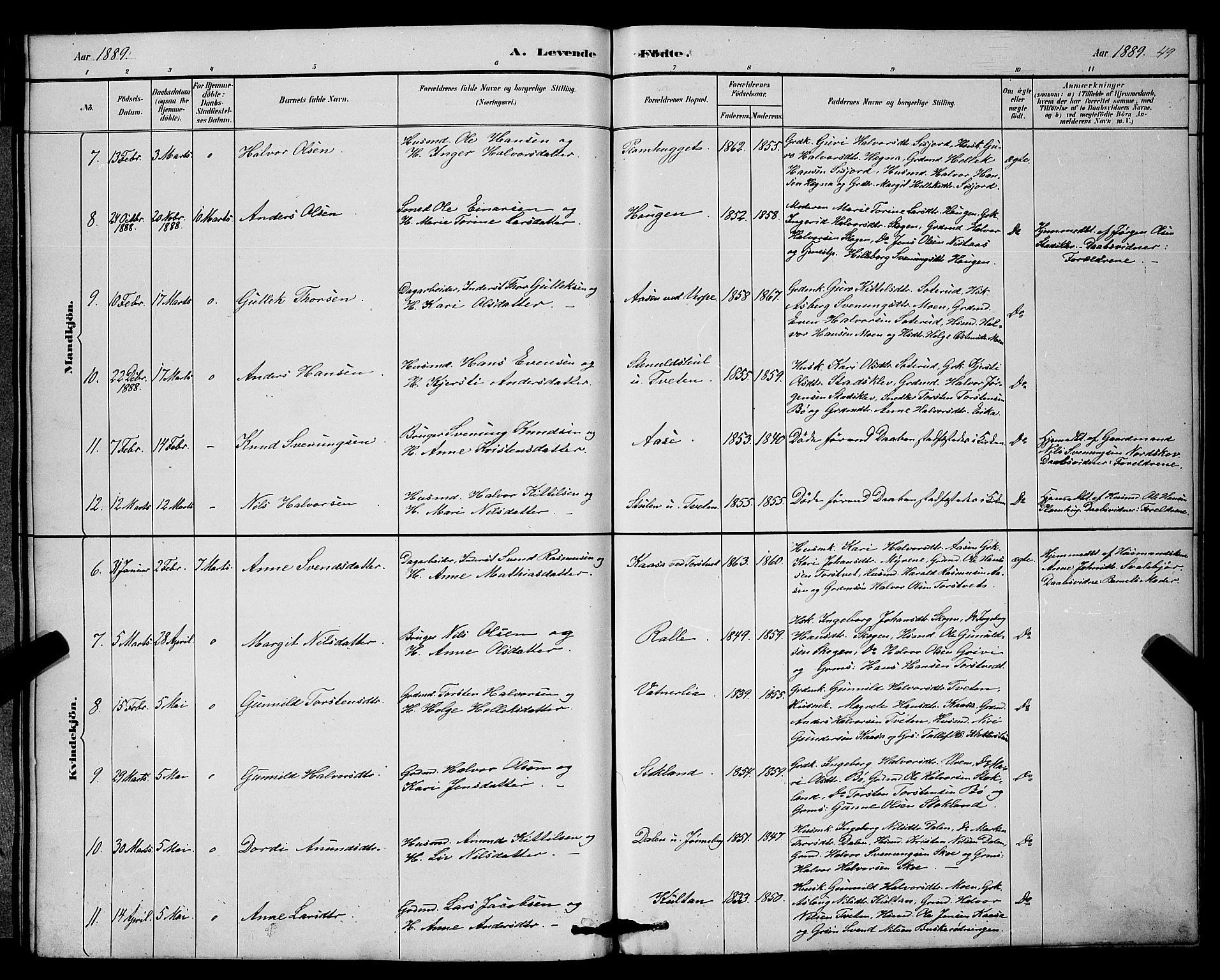 Bø kirkebøker, SAKO/A-257/G/Ga/L0005: Parish register (copy) no. 5, 1883-1897, p. 49
