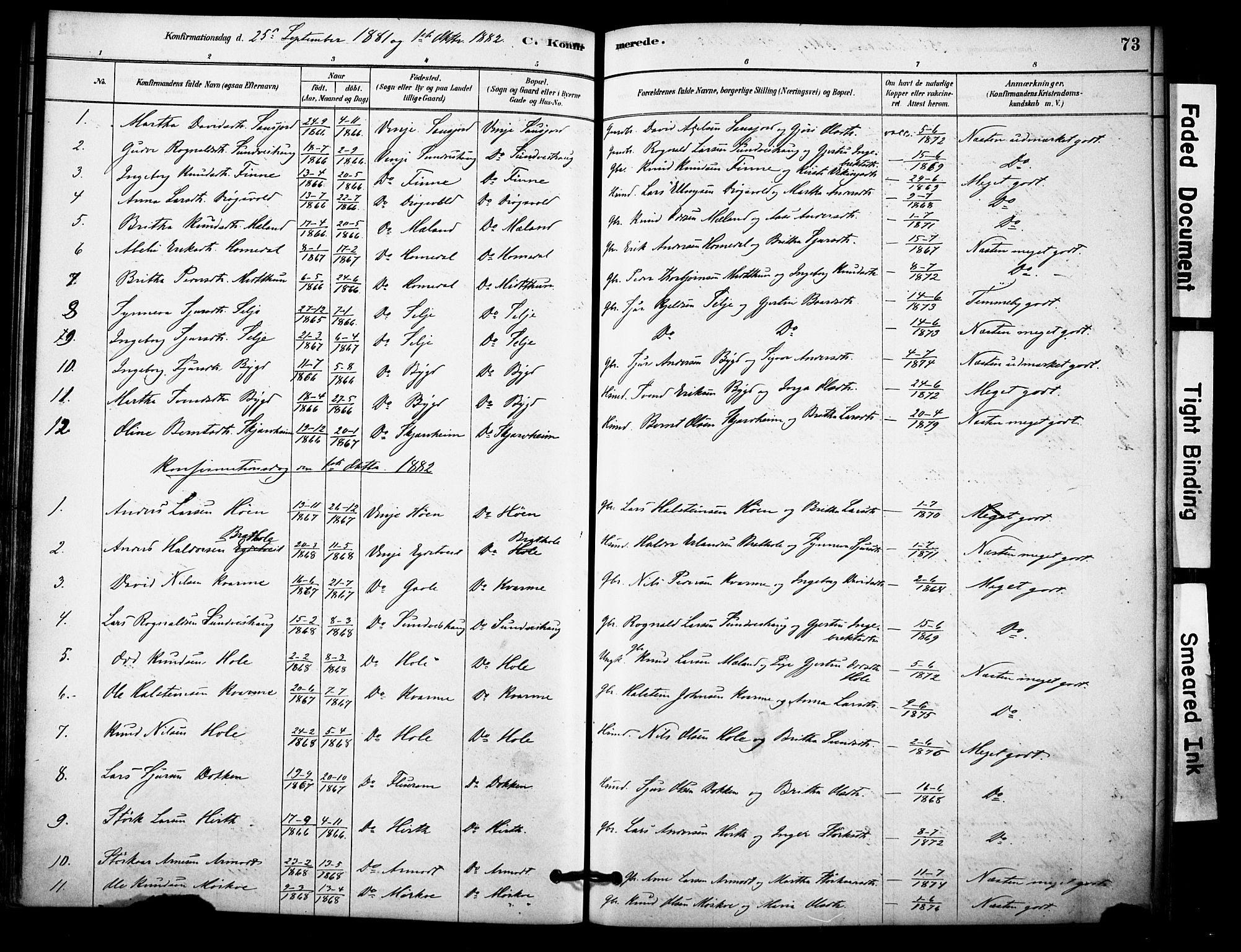 Vossestrand Sokneprestembete, SAB/A-79101/H/Haa: Parish register (official) no. C 1, 1878-1903, p. 73