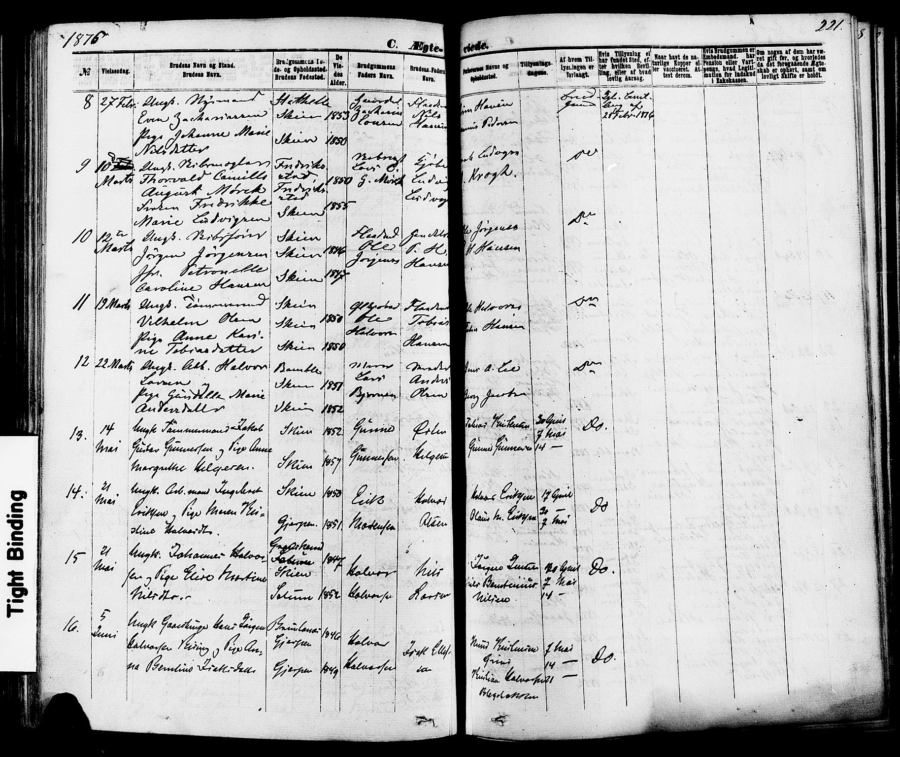Skien kirkebøker, SAKO/A-302/F/Fa/L0008: Parish register (official) no. 8, 1866-1877, p. 221