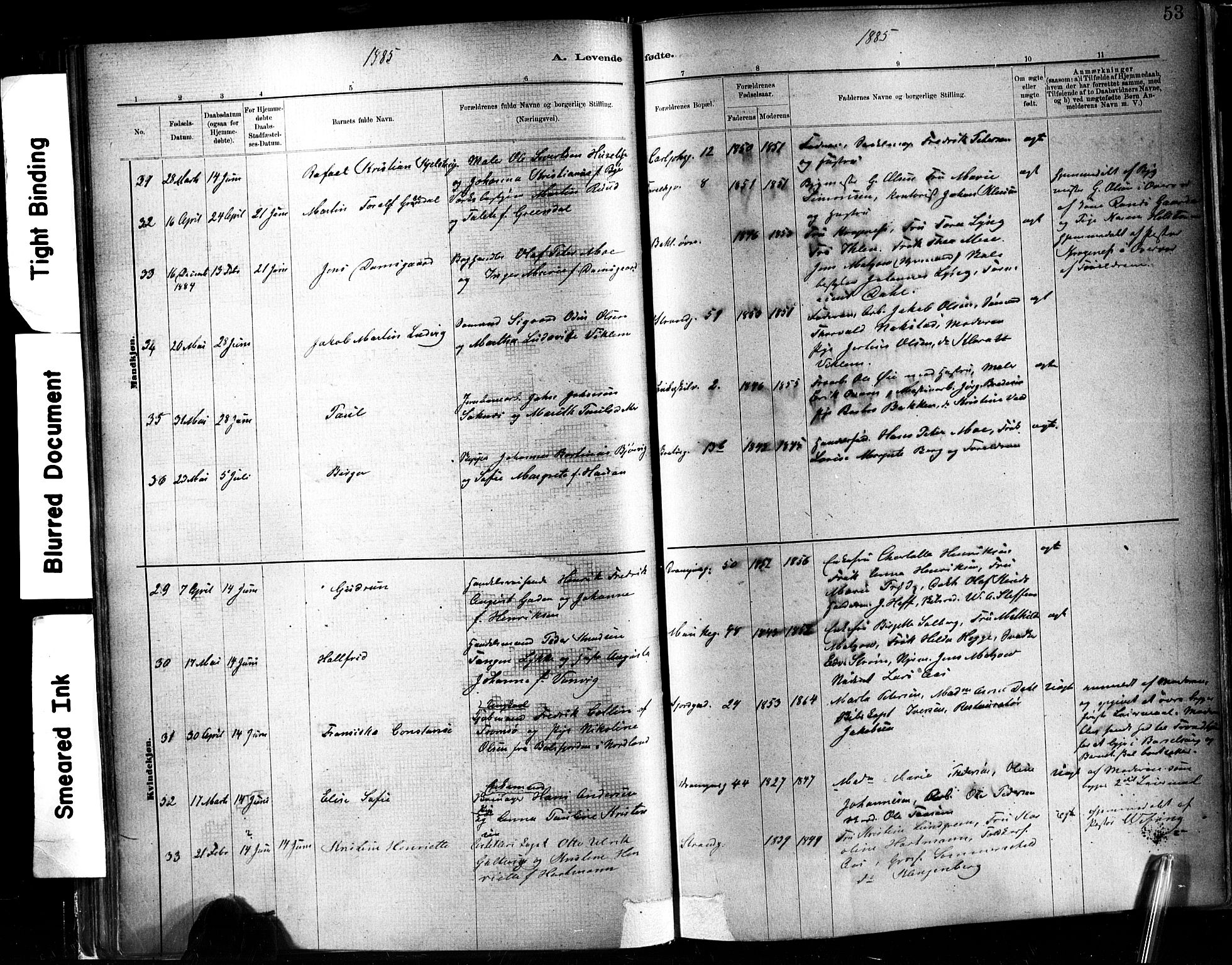 Ministerialprotokoller, klokkerbøker og fødselsregistre - Sør-Trøndelag, AV/SAT-A-1456/602/L0119: Parish register (official) no. 602A17, 1880-1901, p. 53